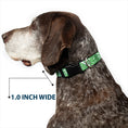 Load image into Gallery viewer, Plastic Clip Collar - Bandana/Skulls White/Irish Green
