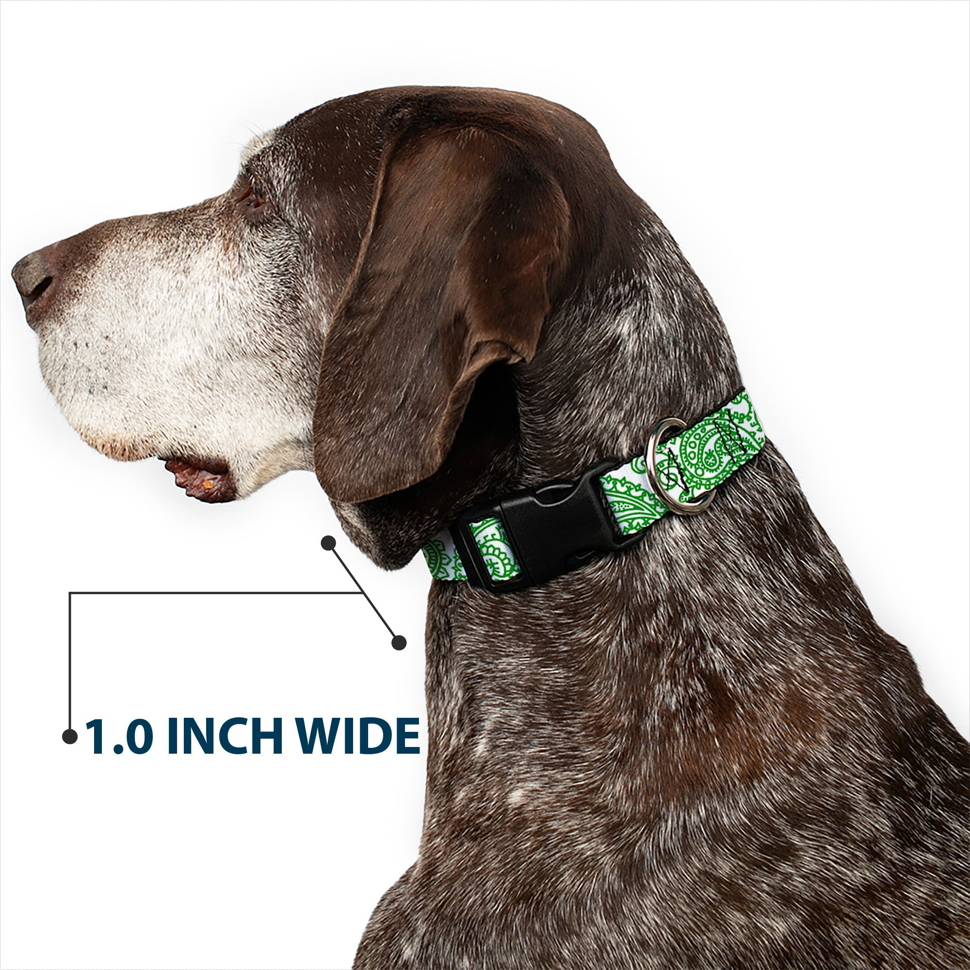 Plastic Clip Collar - Bandana/Skulls White/Irish Green