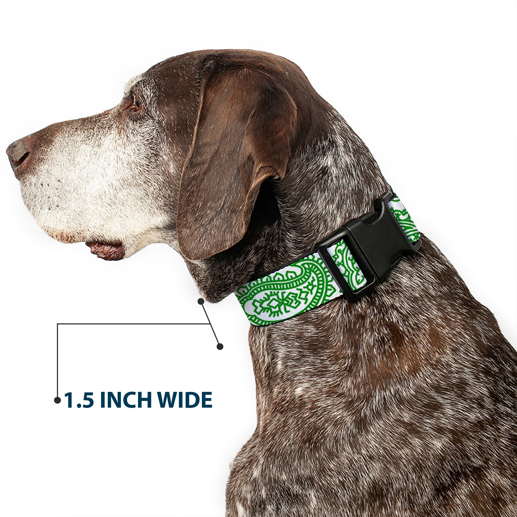 Plastic Clip Collar - Bandana/Skulls White/Irish Green