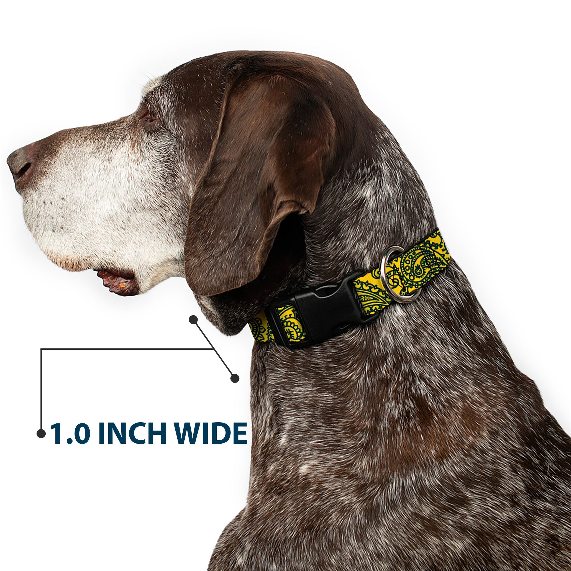Plastic Clip Collar - Bandana/Skulls Gold/Green