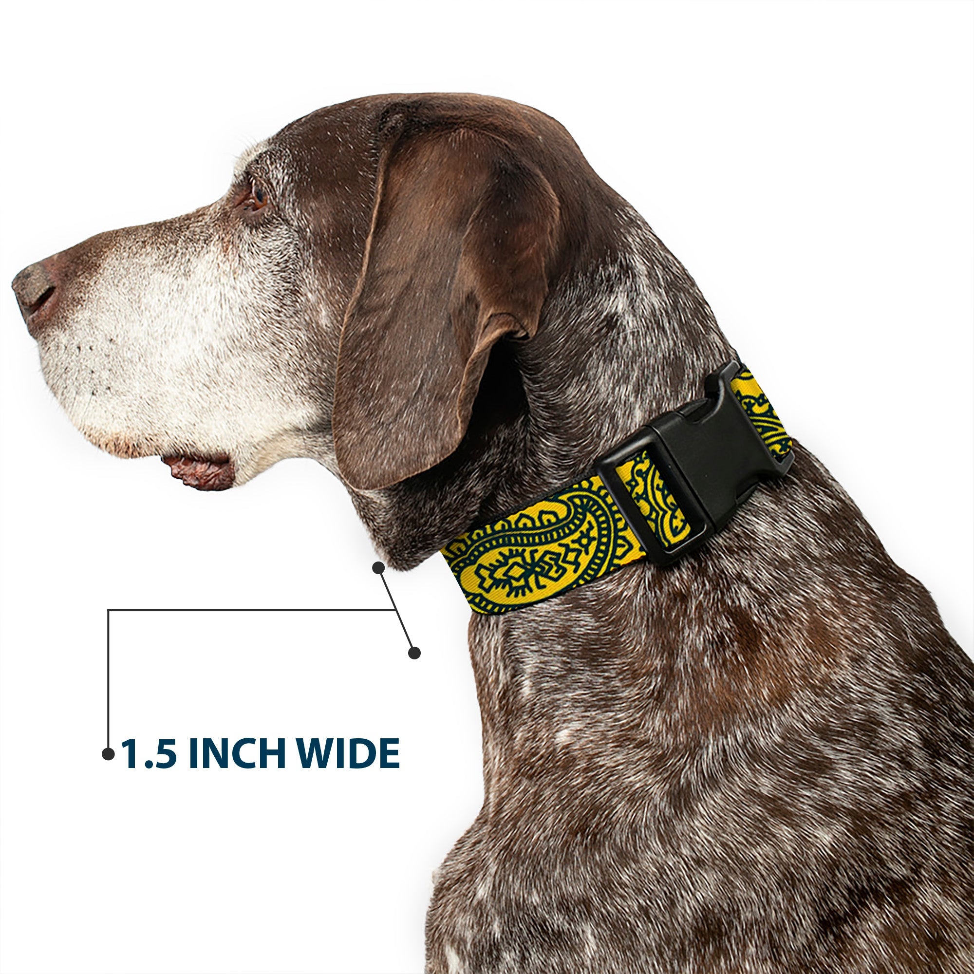 Plastic Clip Collar - Bandana/Skulls Gold/Green