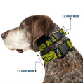 Load image into Gallery viewer, Plastic Clip Collar - Bandana/Skulls Green/Gold
