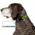 Load image into Gallery viewer, Plastic Clip Collar - Bandana/Skulls Green/Gold
