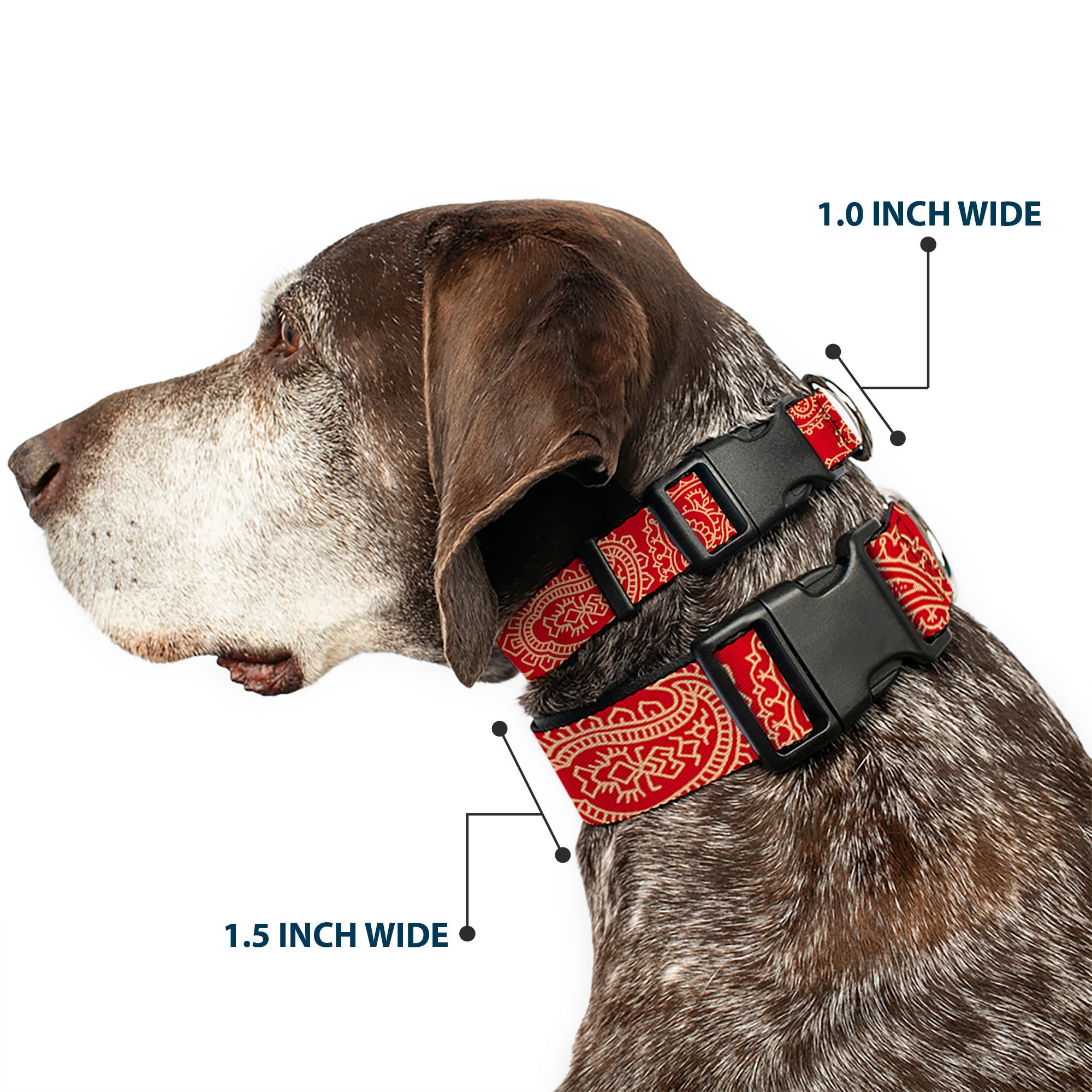 Plastic Clip Collar - Bandana/Skulls Scarlet Red/Gold
