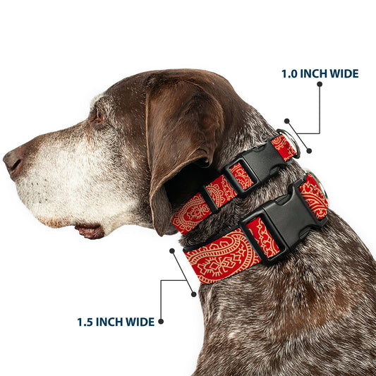 Plastic Clip Collar - Bandana/Skulls Scarlet Red/Gold
