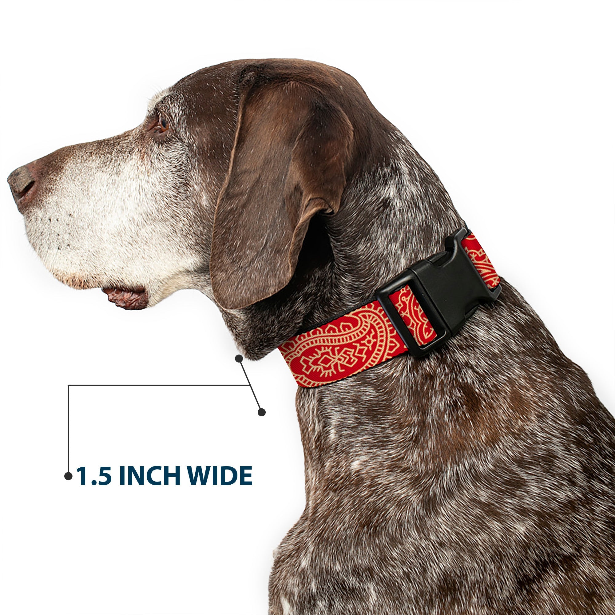Plastic Clip Collar - Bandana/Skulls Scarlet Red/Gold