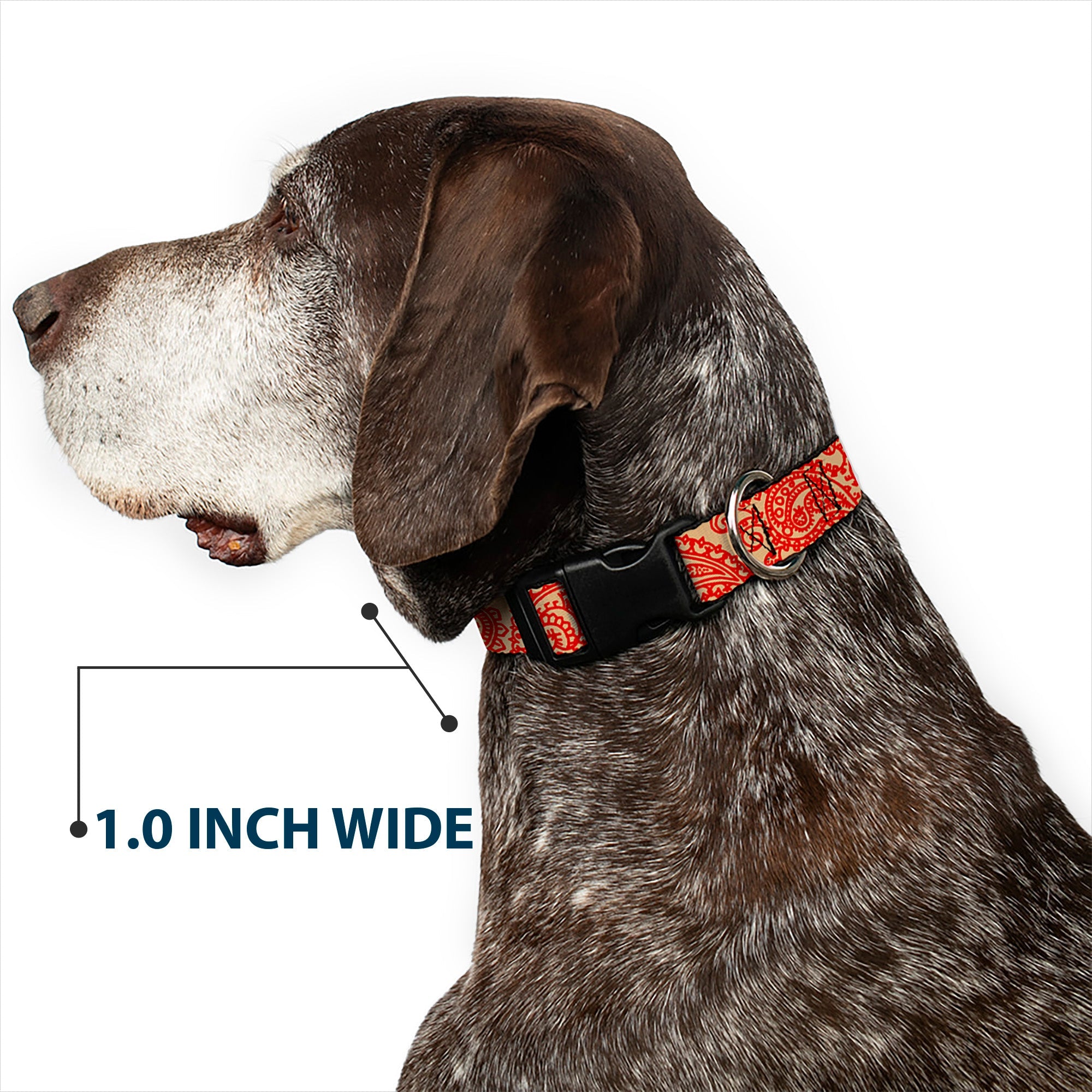 Plastic Clip Collar - Bandana/Skulls Gold/Scarlet Red