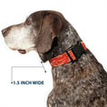 Load image into Gallery viewer, Plastic Clip Collar - Bandana/Skulls Gold/Scarlet Red

