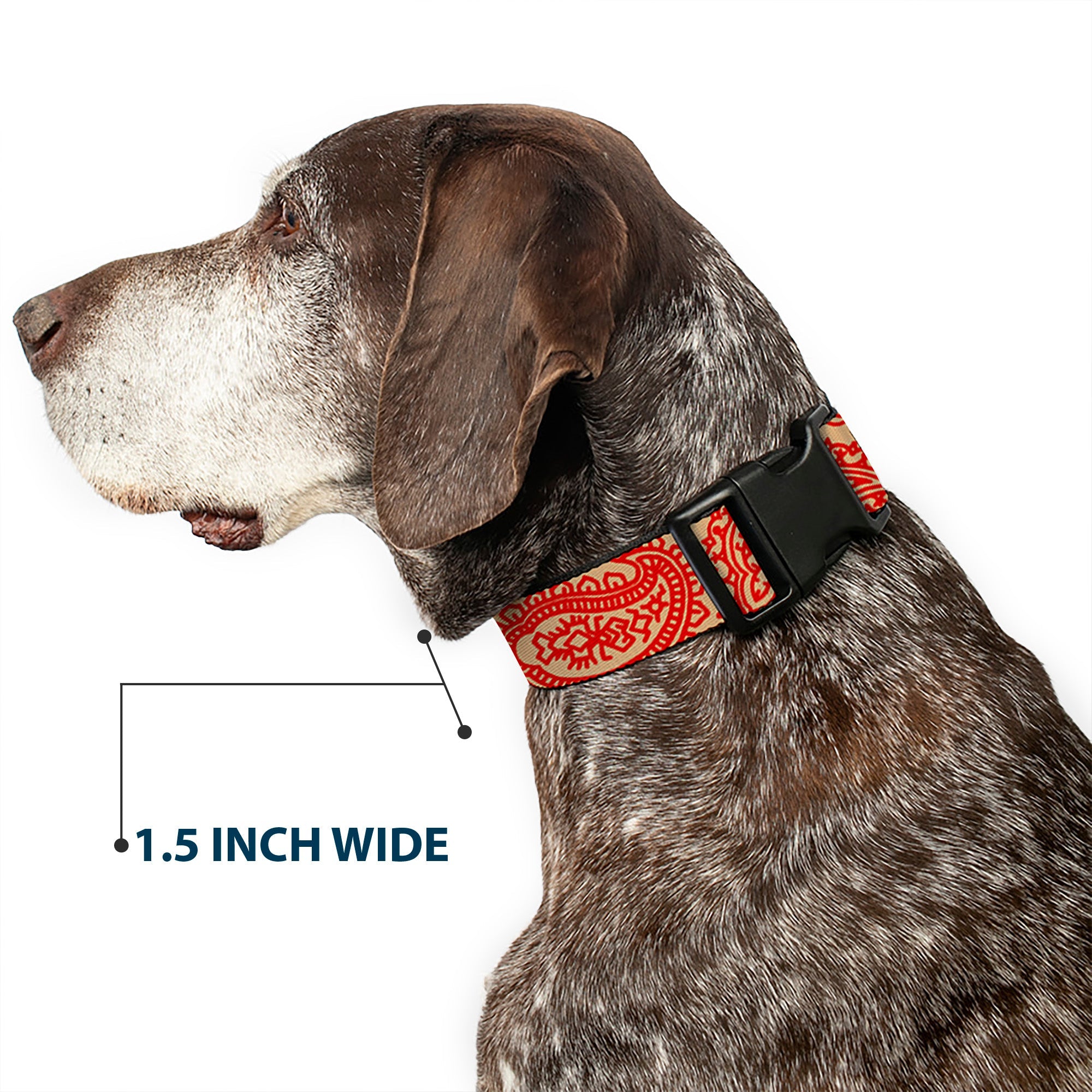 Plastic Clip Collar - Bandana/Skulls Gold/Scarlet Red
