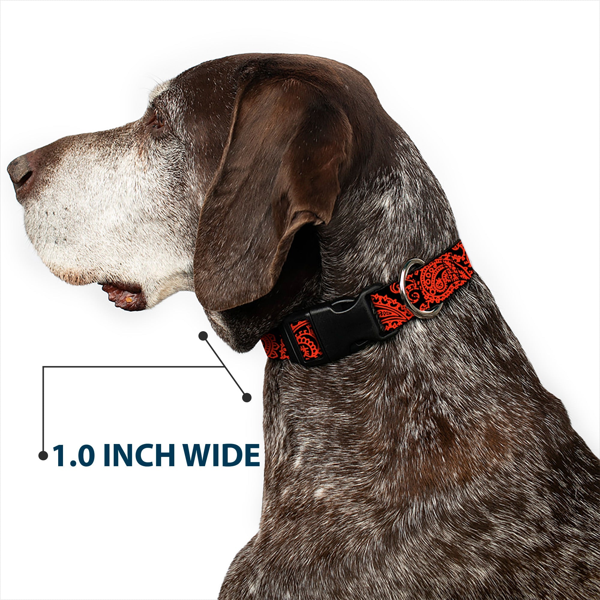 Plastic Clip Collar - Bandana/Skulls Black/Orange
