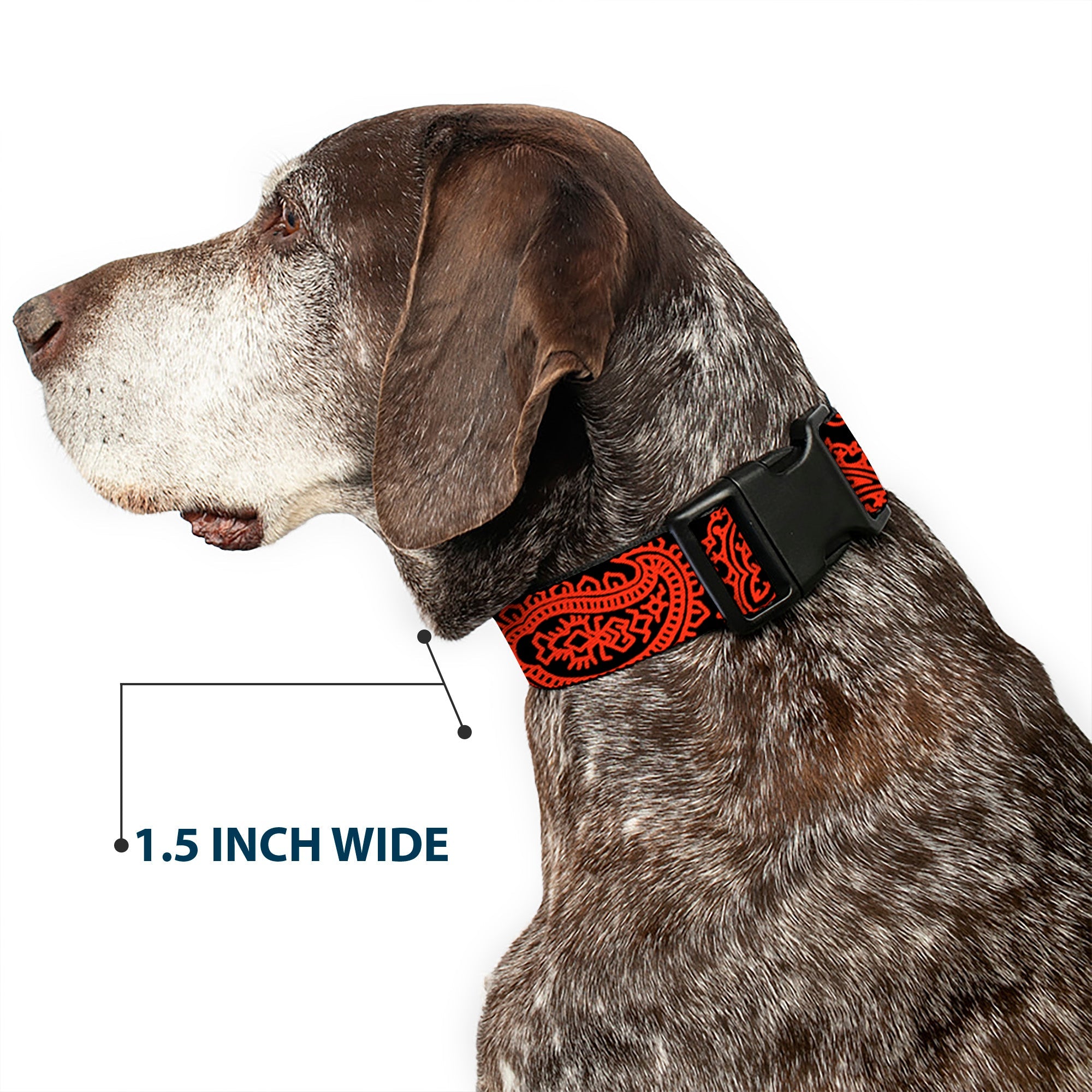 Plastic Clip Collar - Bandana/Skulls Black/Orange