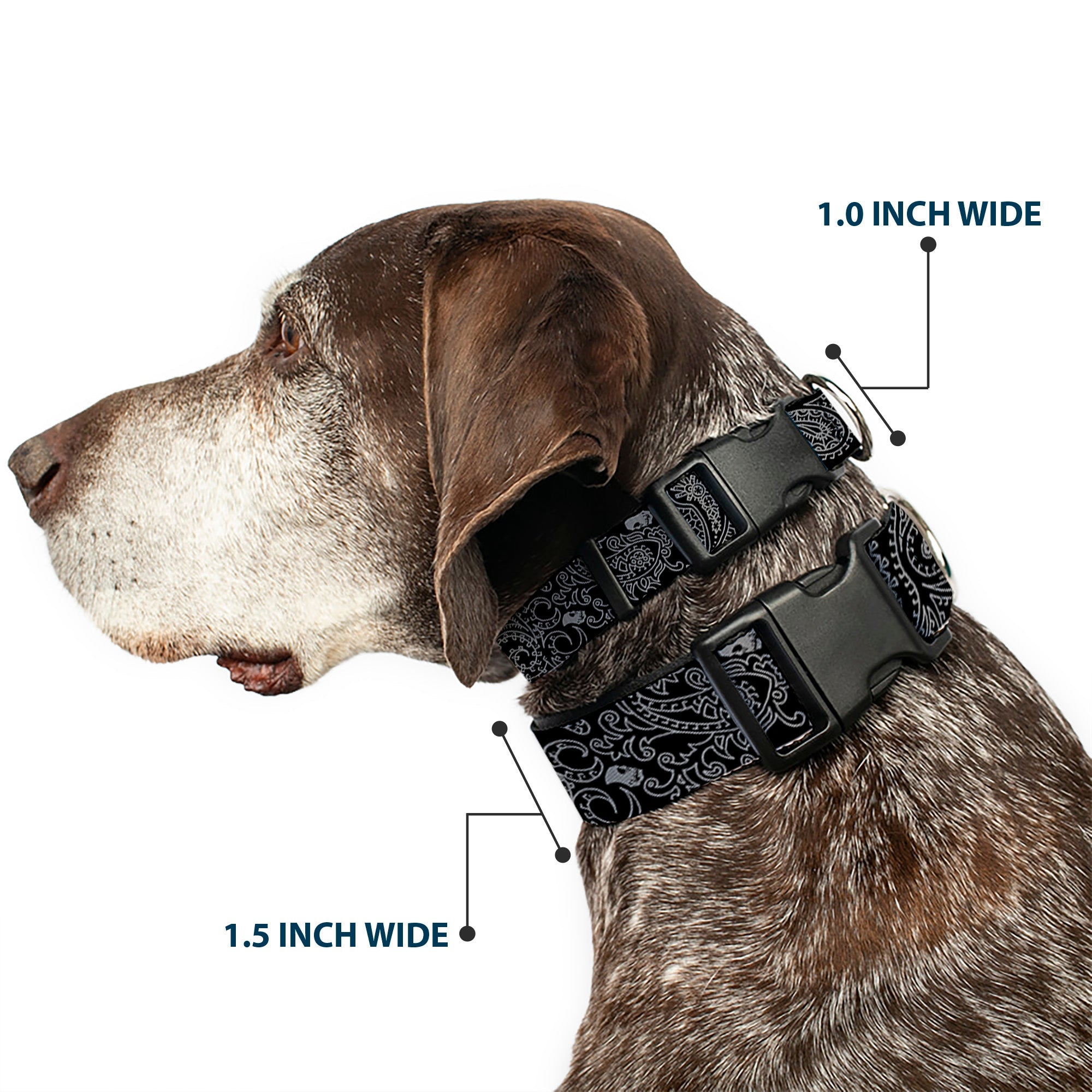 Plastic Clip Collar - Bandana/Skulls Black/Silver
