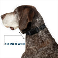 Load image into Gallery viewer, Plastic Clip Collar - Bandana/Skulls Black/Silver
