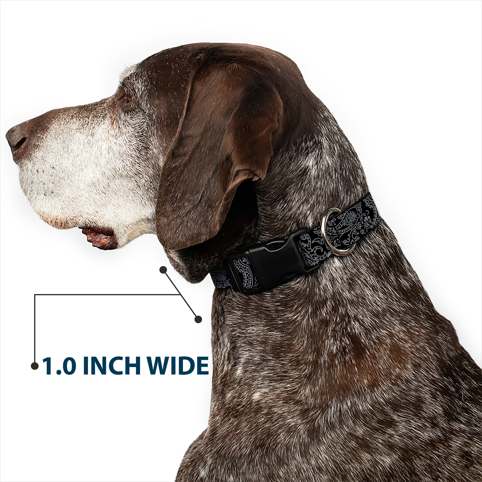 Plastic Clip Collar - Bandana/Skulls Black/Silver