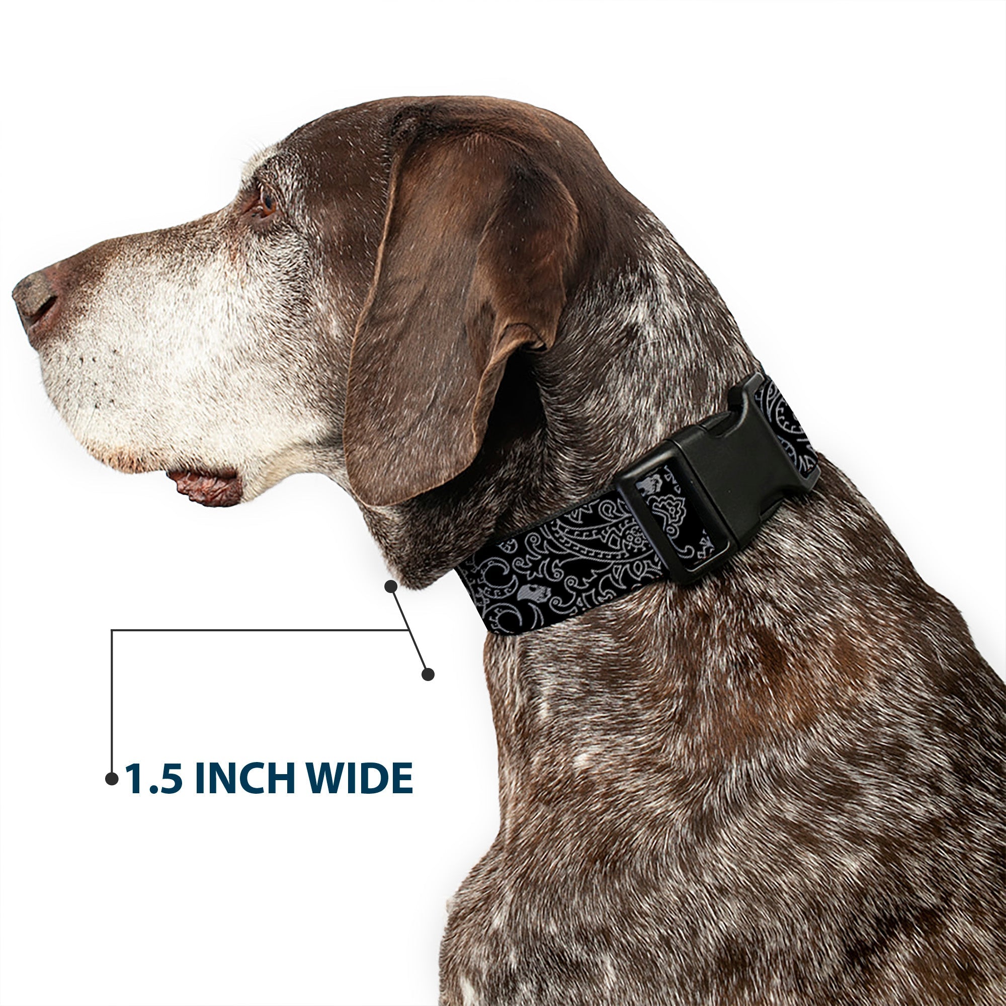 Plastic Clip Collar - Bandana/Skulls Black/Silver