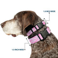 Load image into Gallery viewer, Plastic Clip Collar - Bandana/Skulls Pink/White
