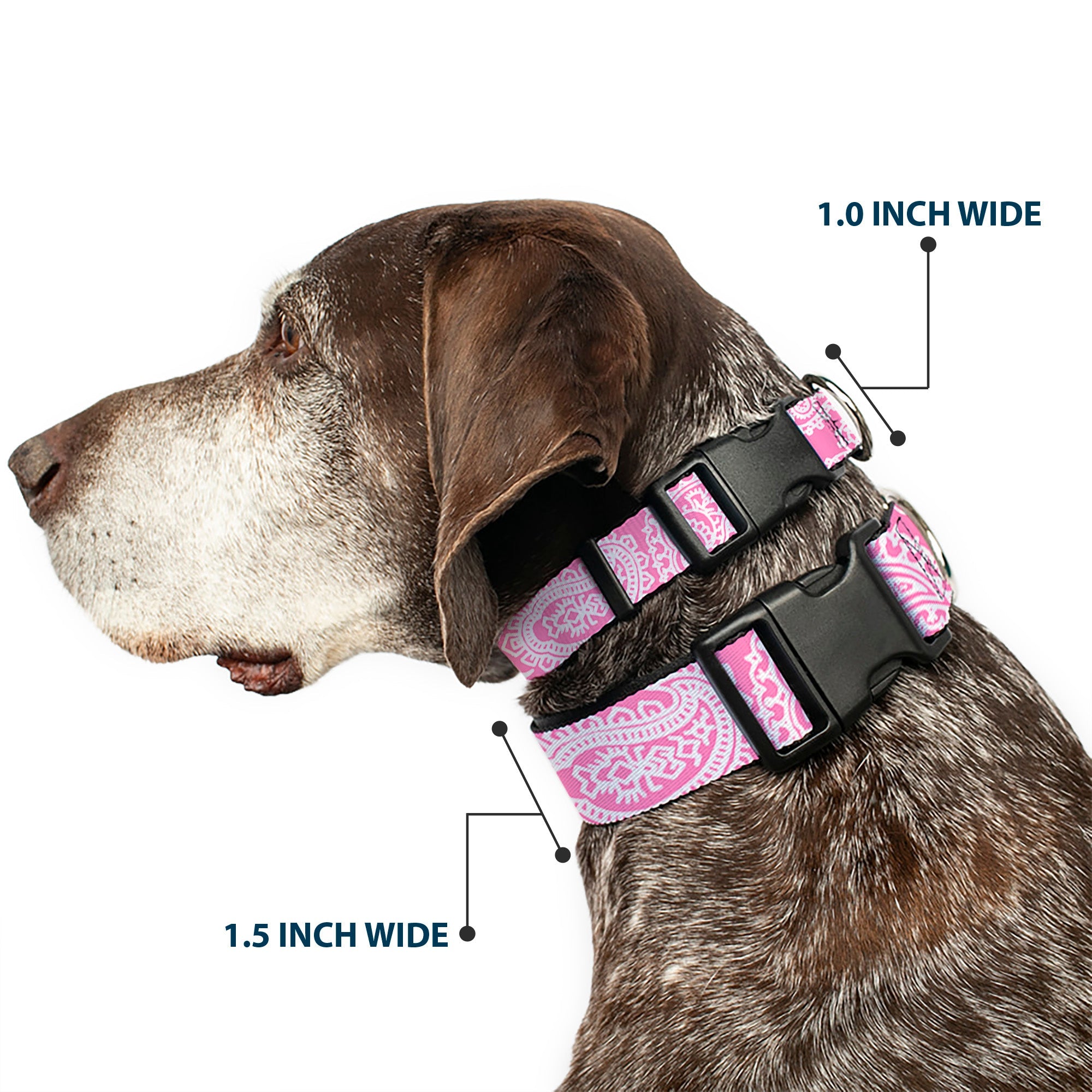 Plastic Clip Collar - Bandana/Skulls Pink/White