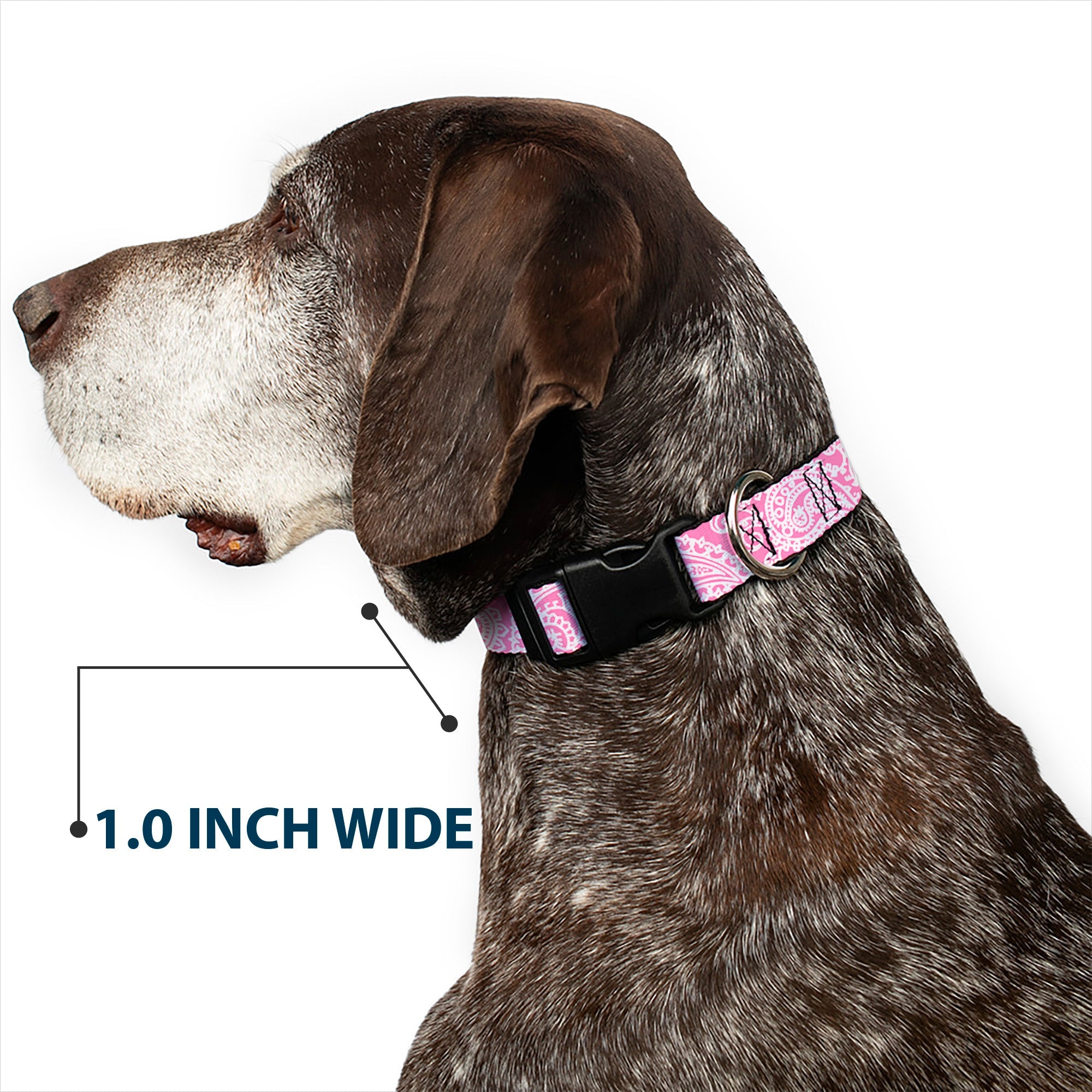 Plastic Clip Collar - Bandana/Skulls Pink/White