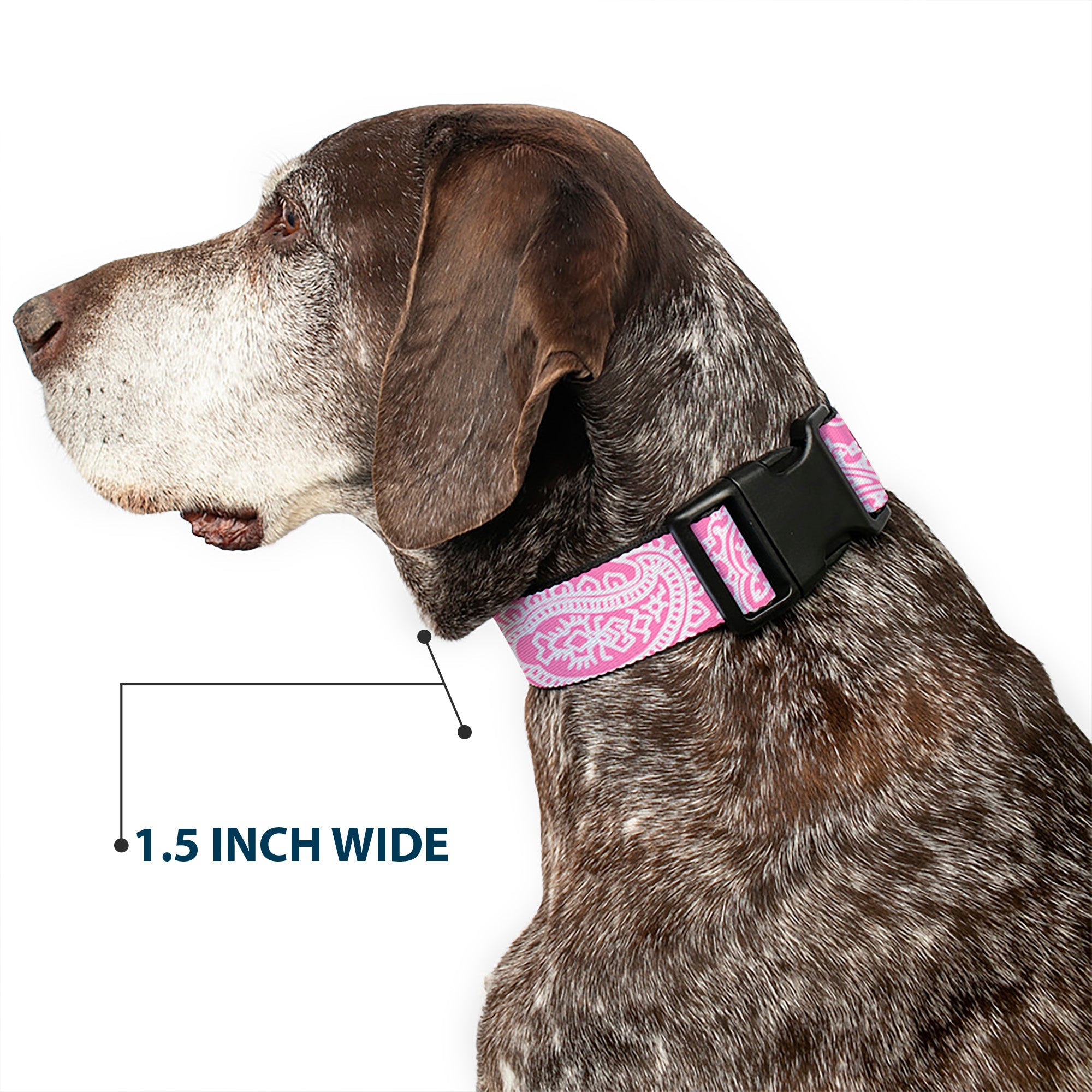 Plastic Clip Collar - Bandana/Skulls Pink/White