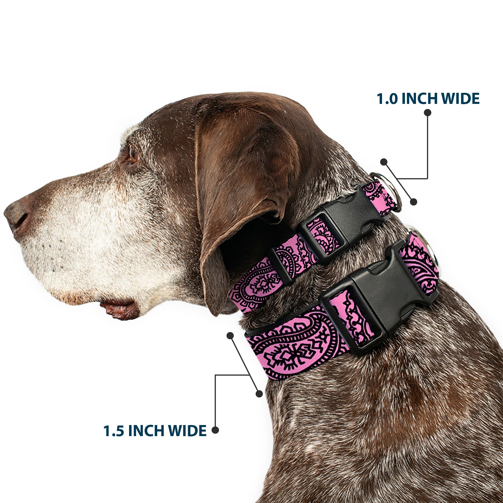 Plastic Clip Collar - Bandana/Skulls Pink/Black