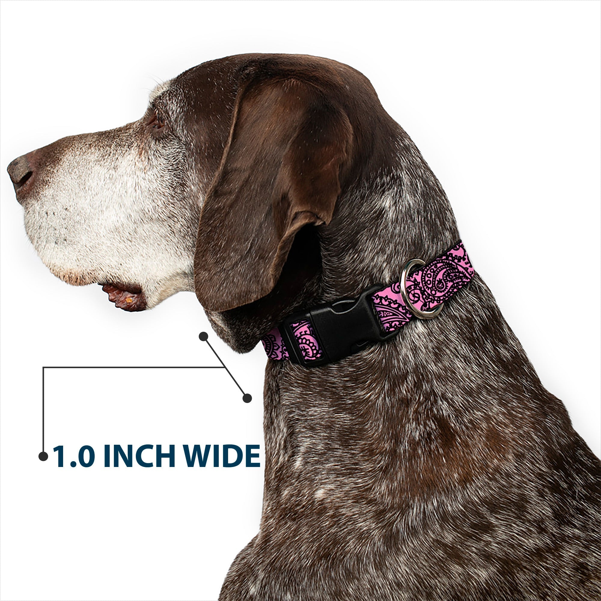 Plastic Clip Collar - Bandana/Skulls Pink/Black