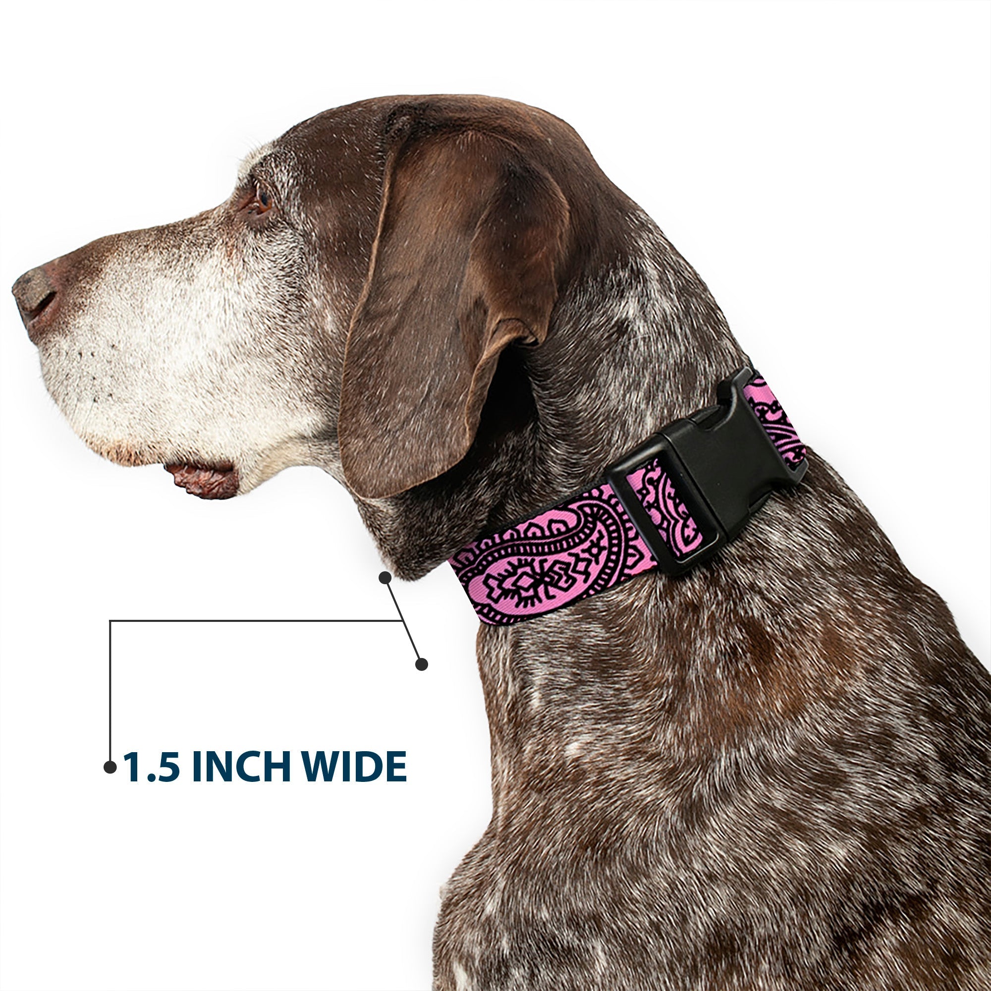 Plastic Clip Collar - Bandana/Skulls Pink/Black