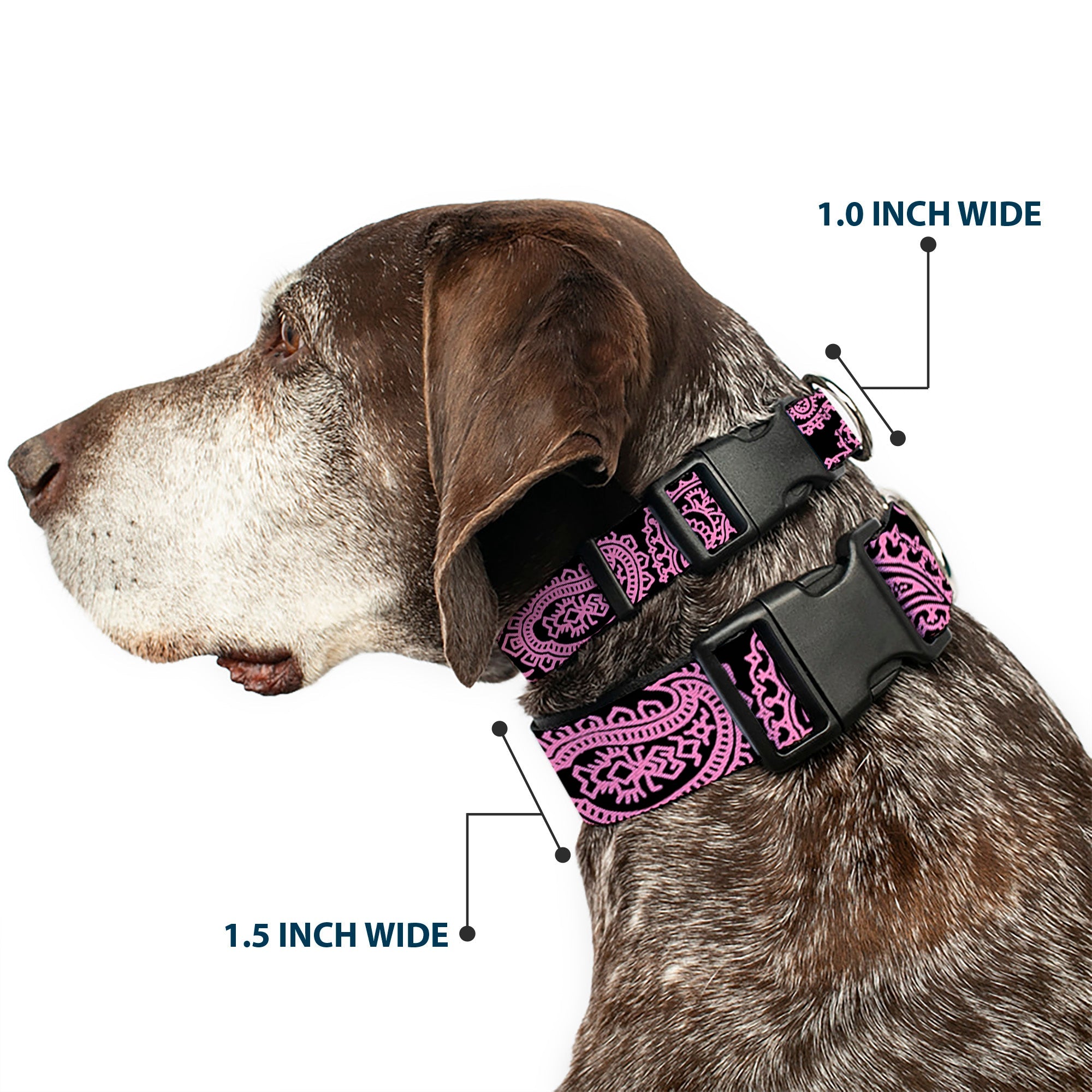 Plastic Clip Collar - Bandana/Skulls Black/Pink