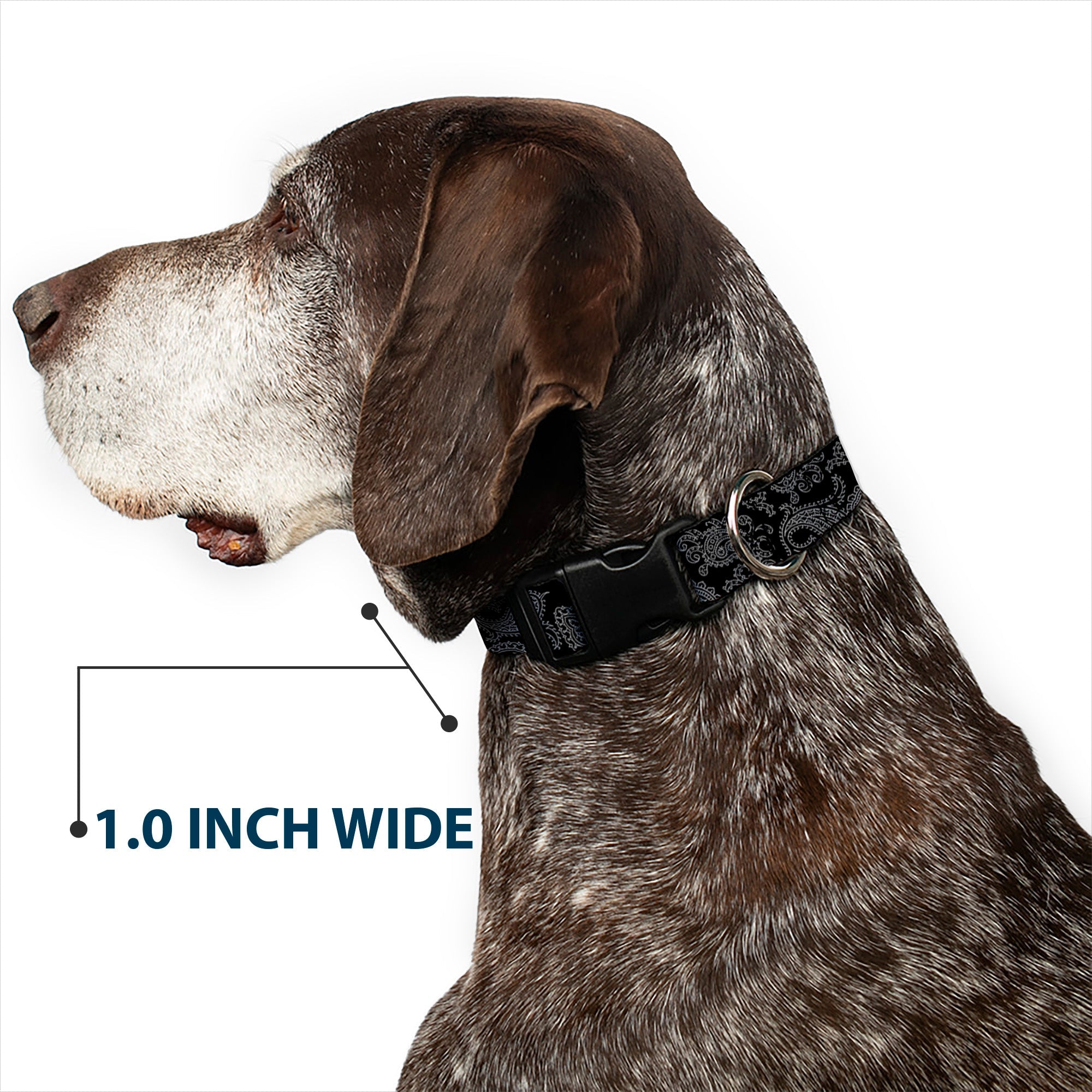 Plastic Clip Collar - Bandana Black/Gray