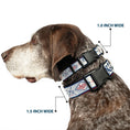 Load image into Gallery viewer, Plastic Clip Collar - Buckle-Down AUTHENTIC SEATBELT BELT White/Blue/Red
