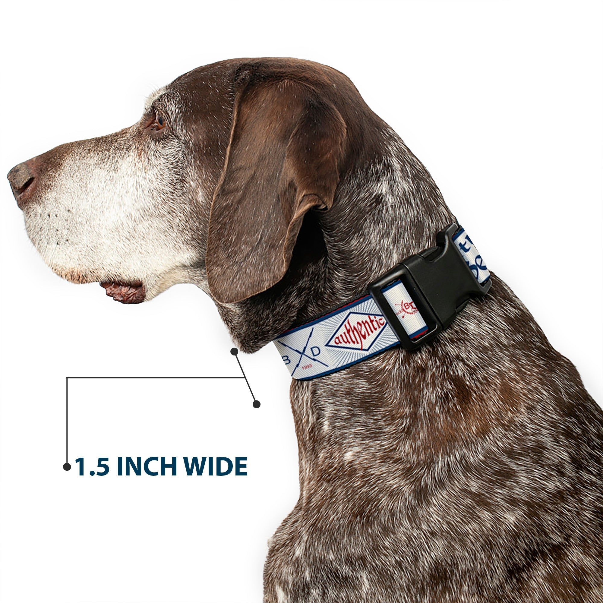 Plastic Clip Collar - Buckle-Down AUTHENTIC SEATBELT BELT White/Blue/Red