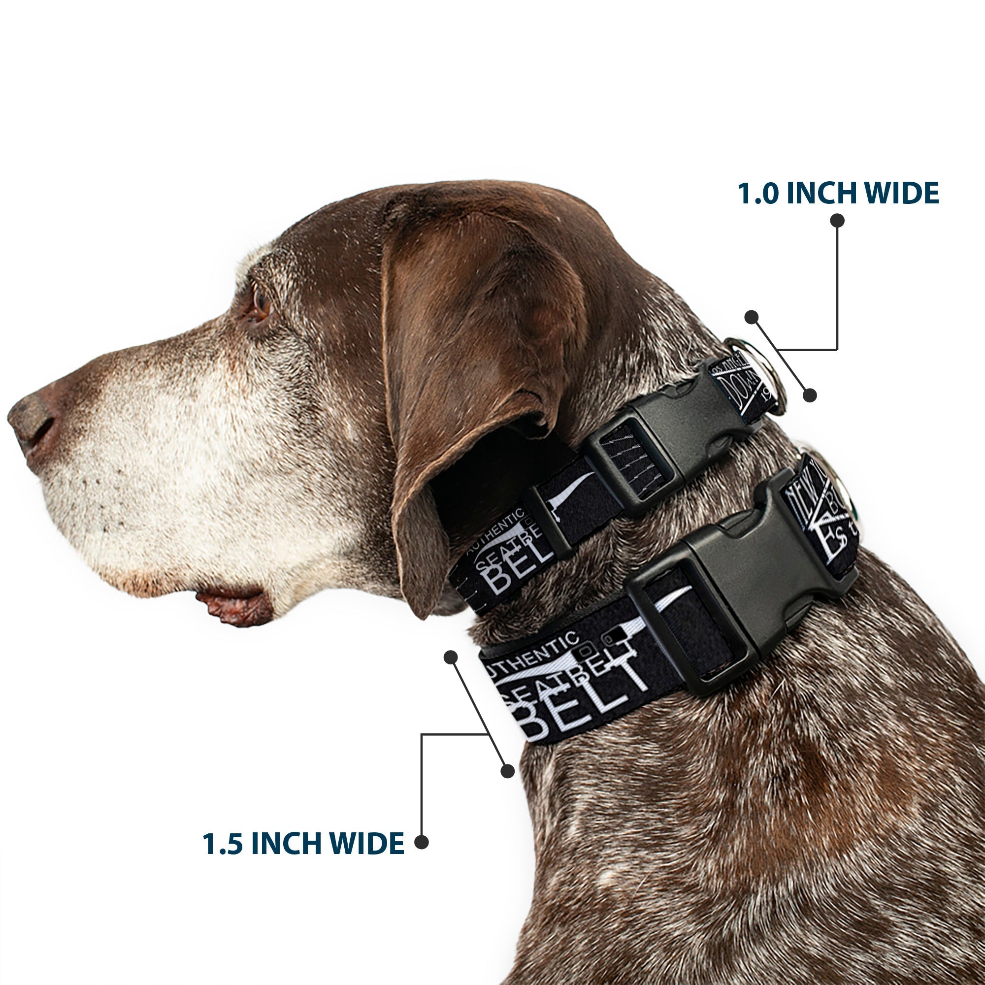Plastic Clip Collar - Buckle-Down AUTHENTIC SEATBELT BELT NY-LA Black/White