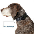 Load image into Gallery viewer, Plastic Clip Collar - Buckle-Down AUTHENTIC SEATBELT BELT NY-LA Black/White
