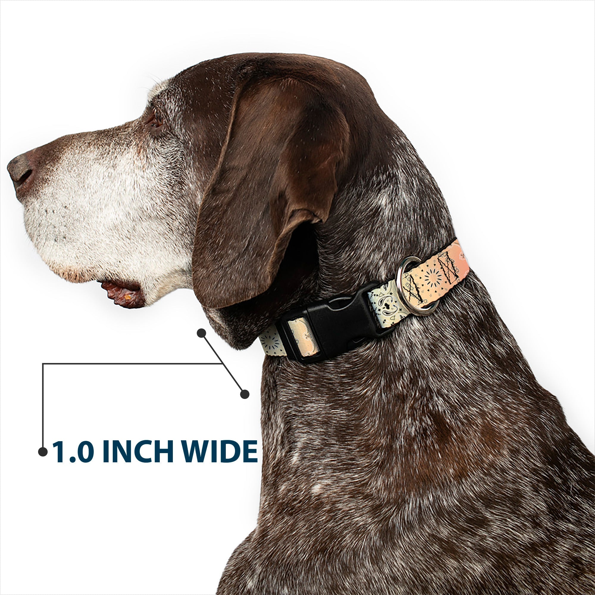 Plastic Clip Collar - Bandana Paisley Ombre Pastel/Black