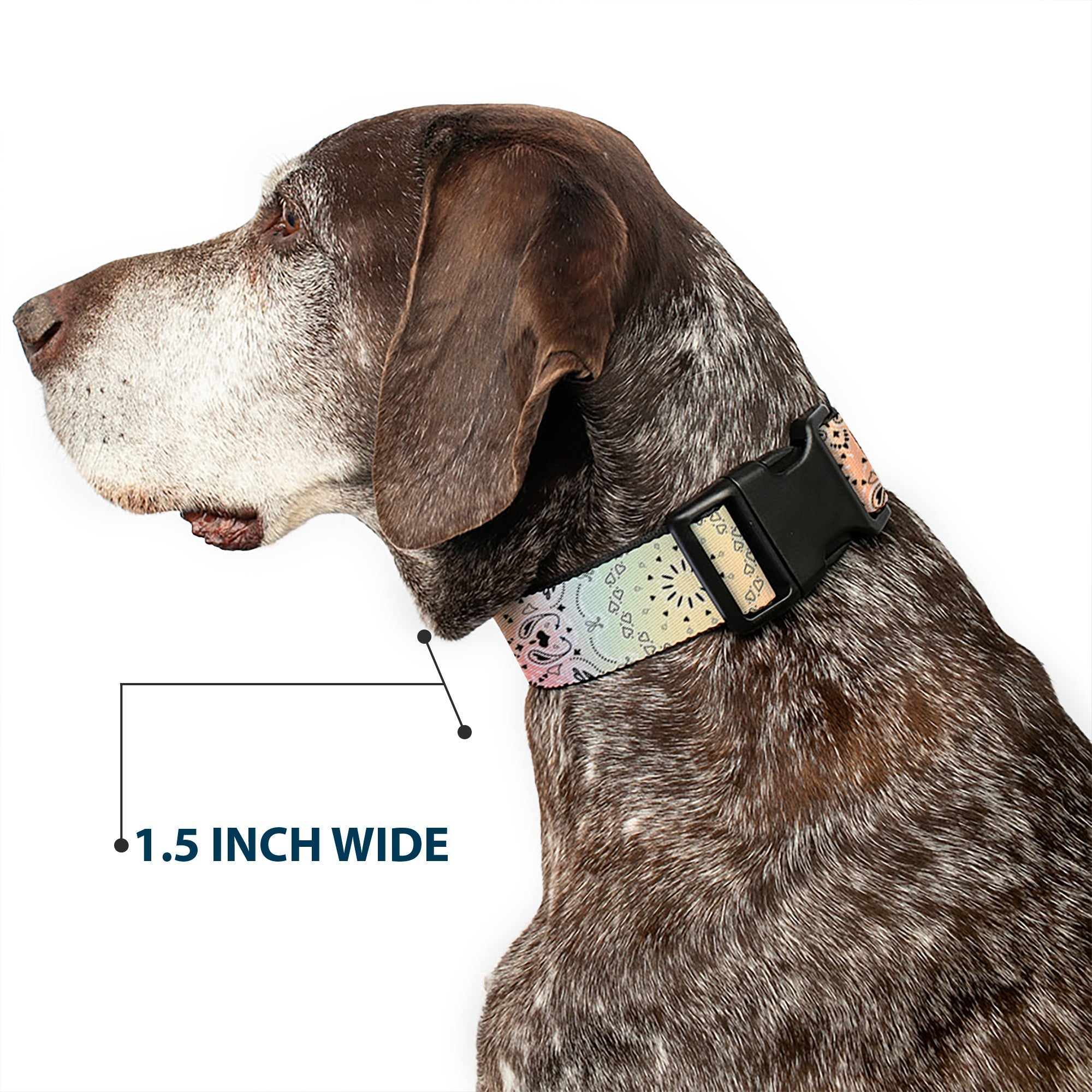 Plastic Clip Collar - Bandana Paisley Ombre Pastel/Black