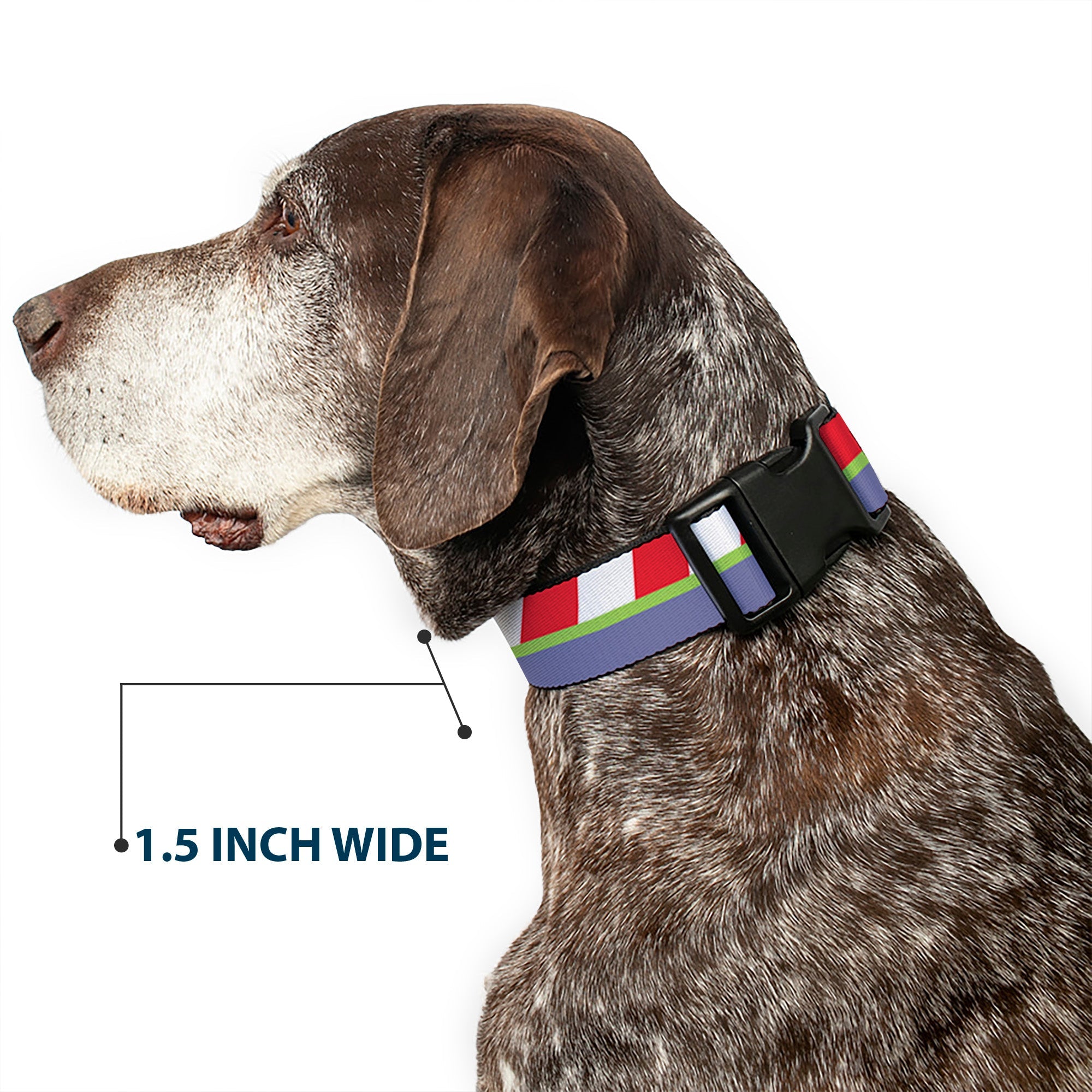 Plastic Clip Collar - Toy Story Buzz Lightyear Bounding Striping Red/White/Green/Purple
