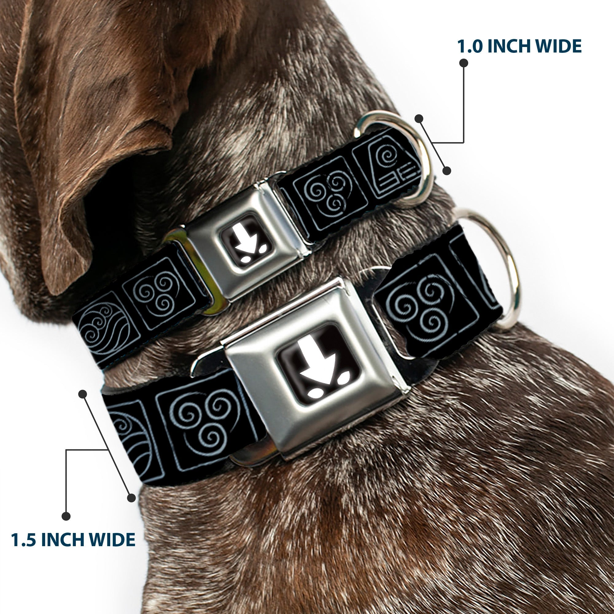 Avatar the Last Airbender Aang Glowing Arrow/Eyes Full Color Black/White Seatbelt Buckle Collar - Avatar the Last Airbender Bending Elements Icons Black/Gray