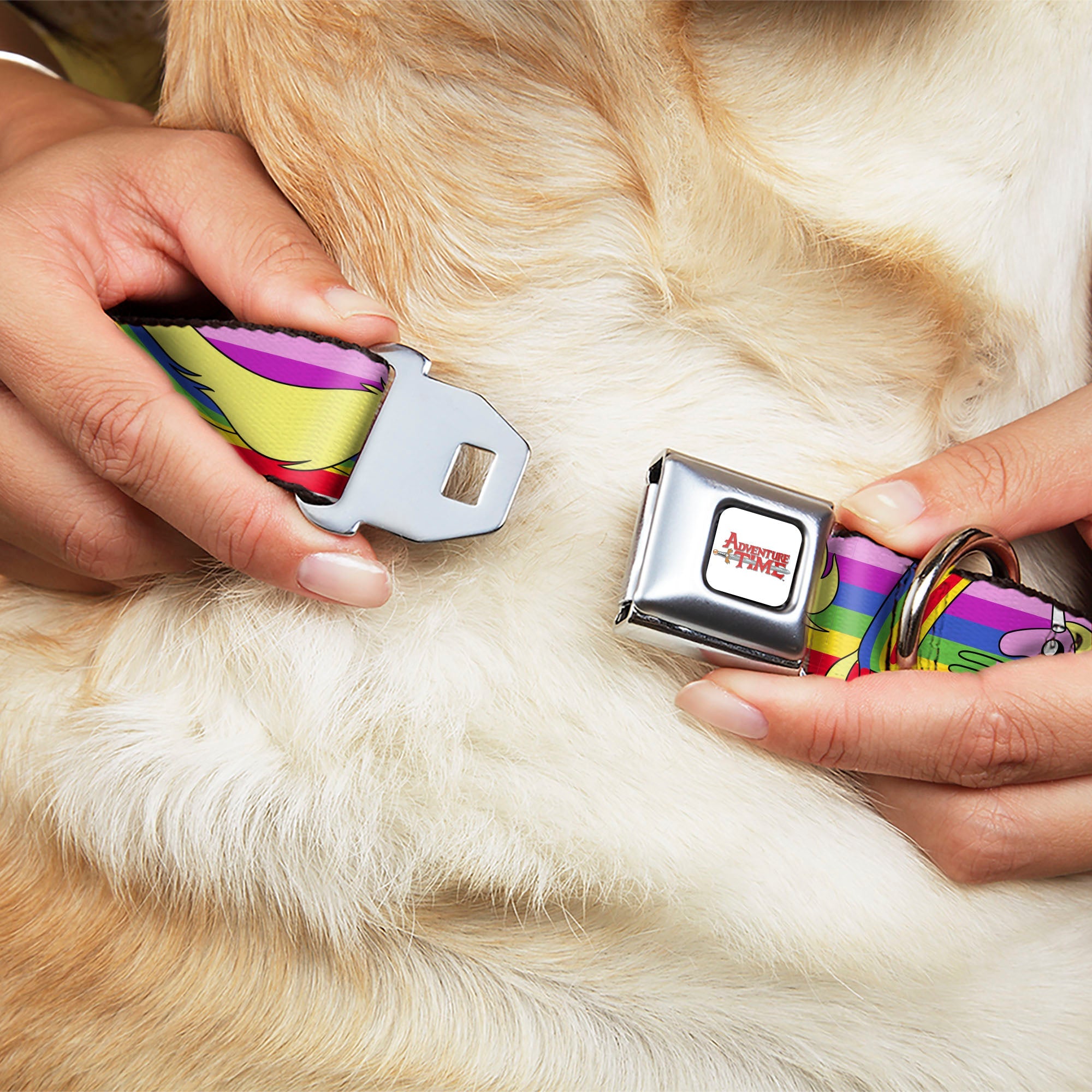 ADVENTURE TIME Title Logo Full Color White Seatbelt Buckle Collar - Adventure Time Lady Raincorn Poses Stripe Rainbow
