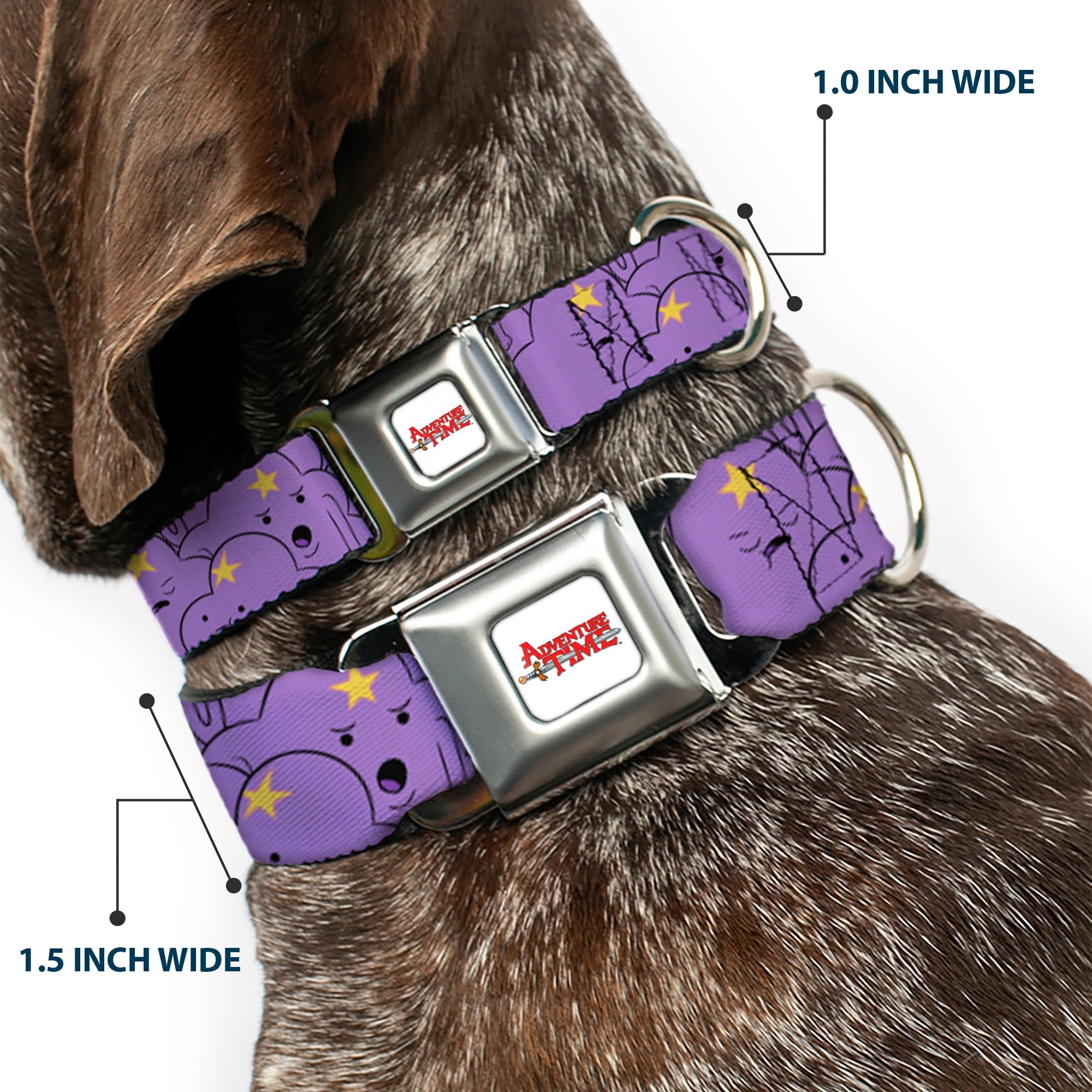ADVENTURE TIME Title Logo Full Color White Seatbelt Buckle Collar - Adventure Time Lumpy Space Princess Expressions Stacked Lavender
