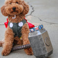 Load image into Gallery viewer, MARVEL UNIVERSE MARVEL Full Color Red White Seatbelt Buckle Collar - Kawaii Thor Poses/Hammer Monogram Blues
