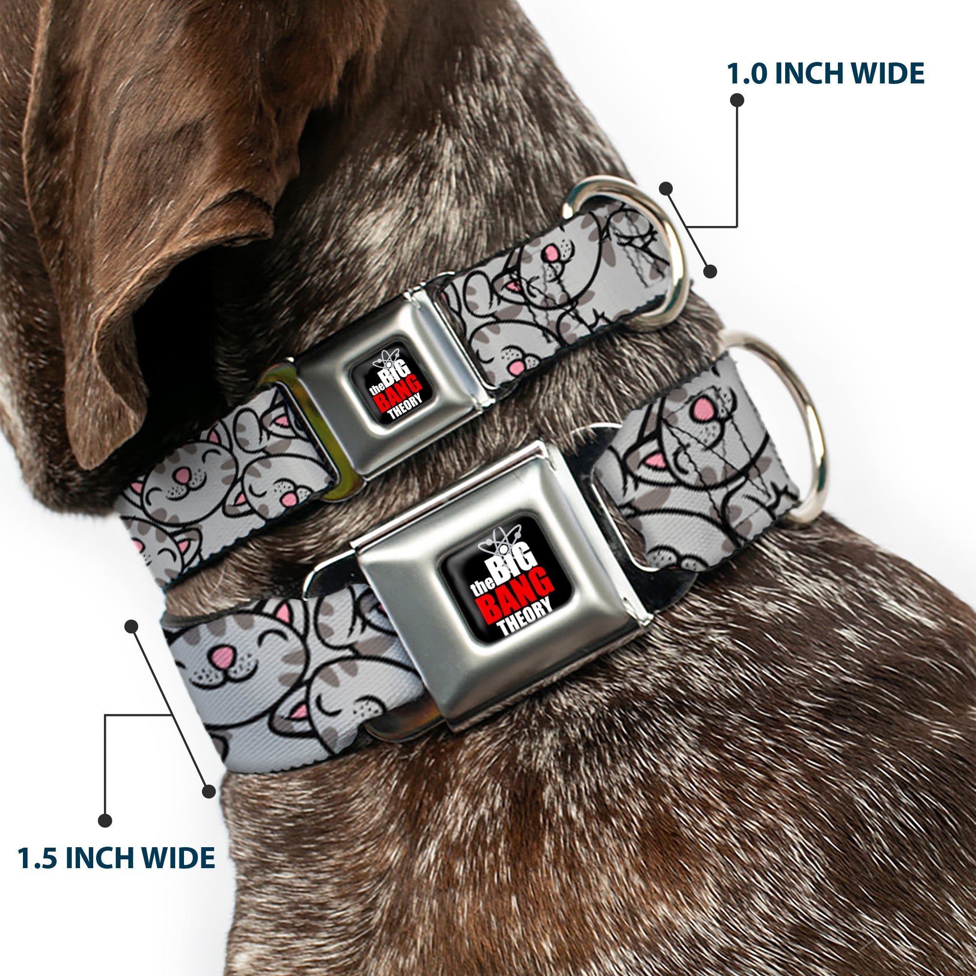 THE BIG BANG THEORY Full Color Black White Red Seatbelt Buckle Collar - Soft Kitty Poses