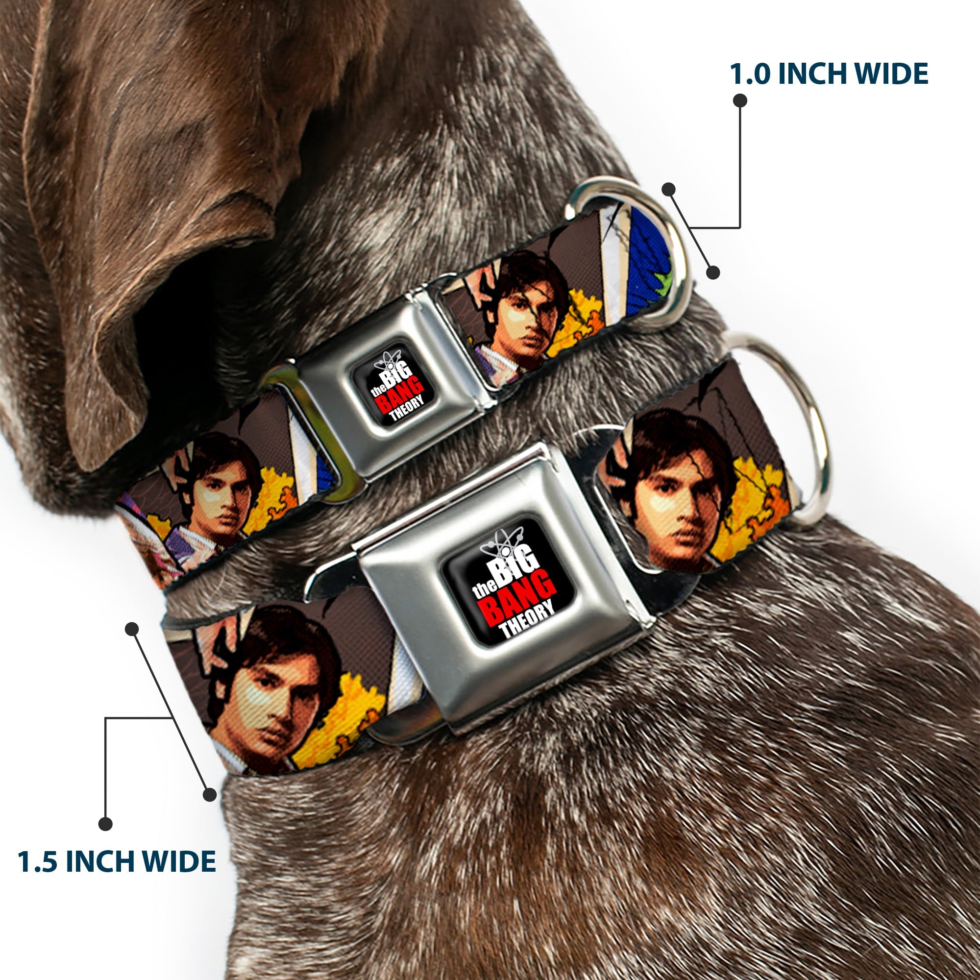 THE BIG BANG THEORY Full Color Black White Red Seatbelt Buckle Collar - The Big Bang Theory Comic Strip