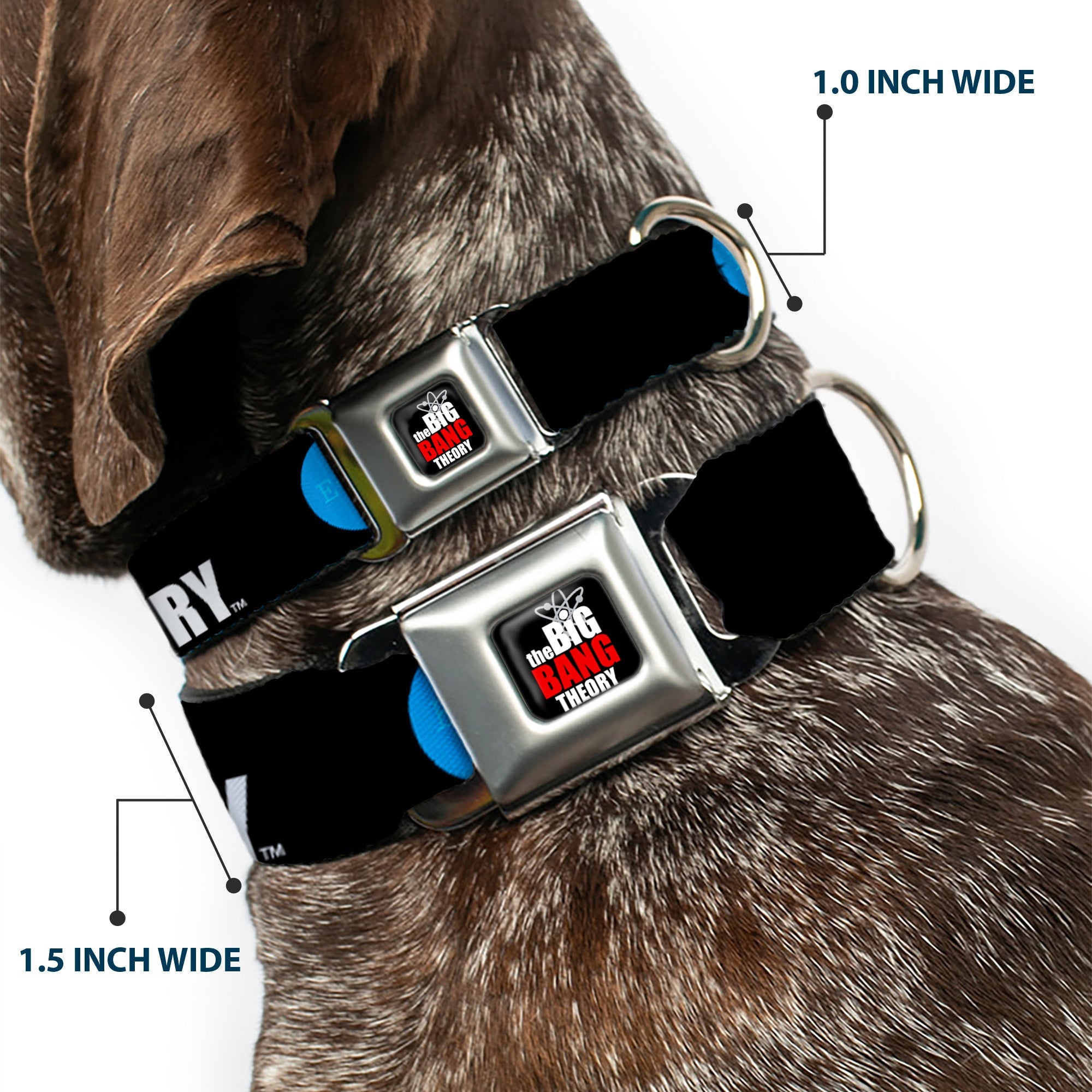 THE BIG BANG THEORY Full Color Black White Red Seatbelt Buckle Collar - THE BIG BANG THEORY DNA/Atom/E/Radiation Black