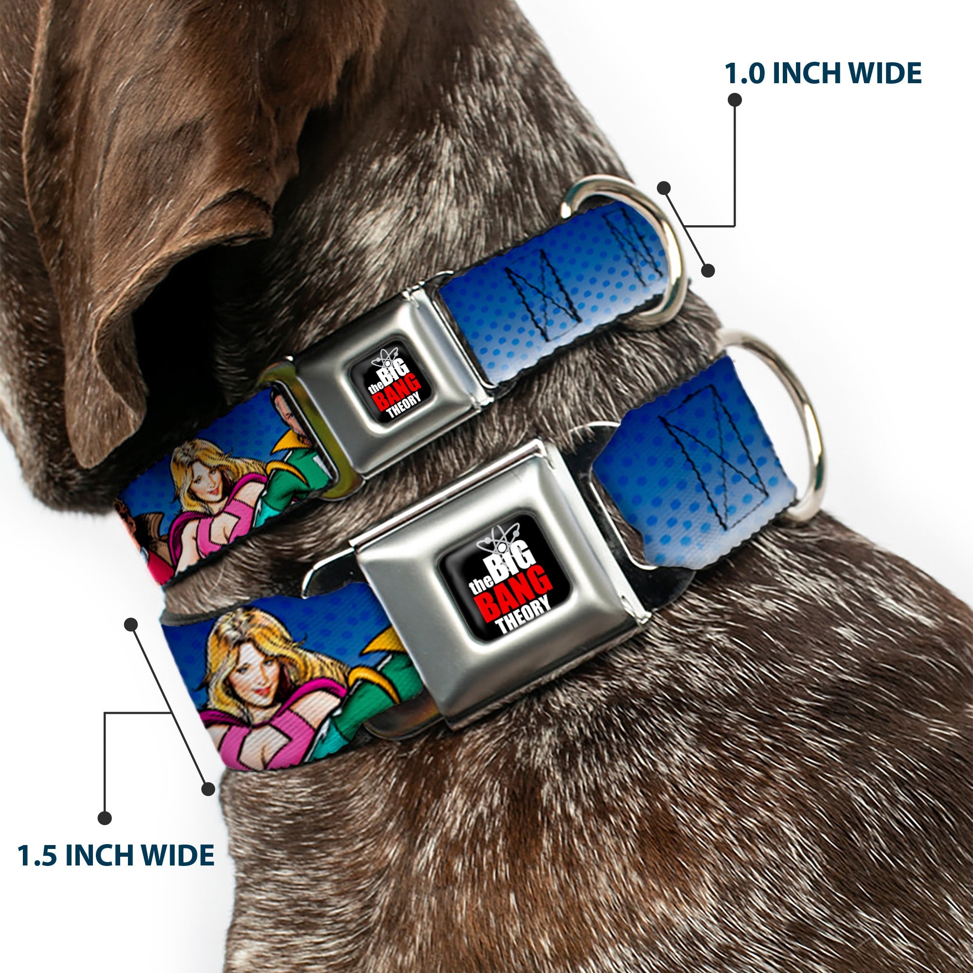 THE BIG BANG THEORY Full Color Black White Red Seatbelt Buckle Collar - The Big Bang Theory Superhero Characters Group Blue Dot Fade
