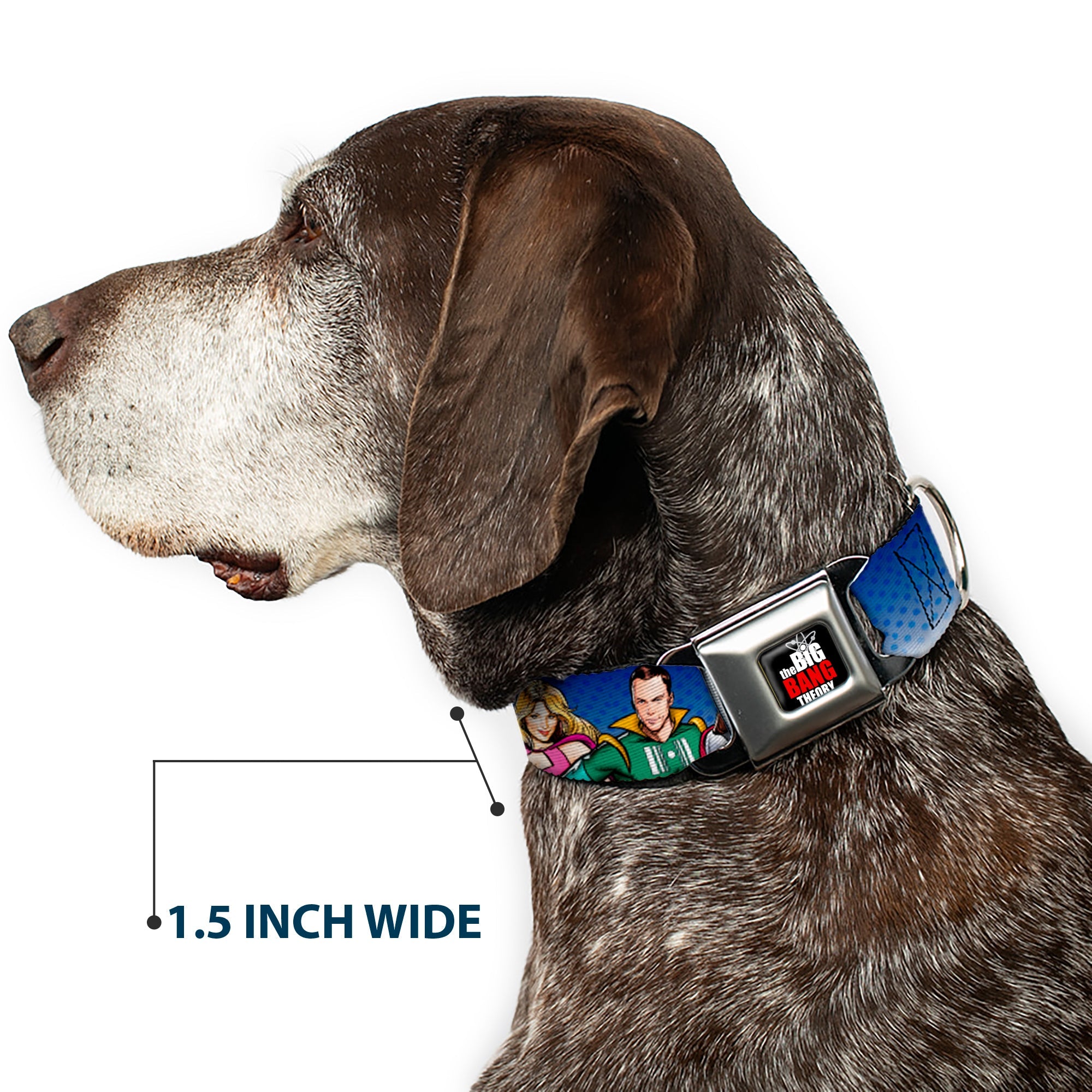 THE BIG BANG THEORY Full Color Black White Red Seatbelt Buckle Collar - The Big Bang Theory Superhero Characters Group Blue Dot Fade