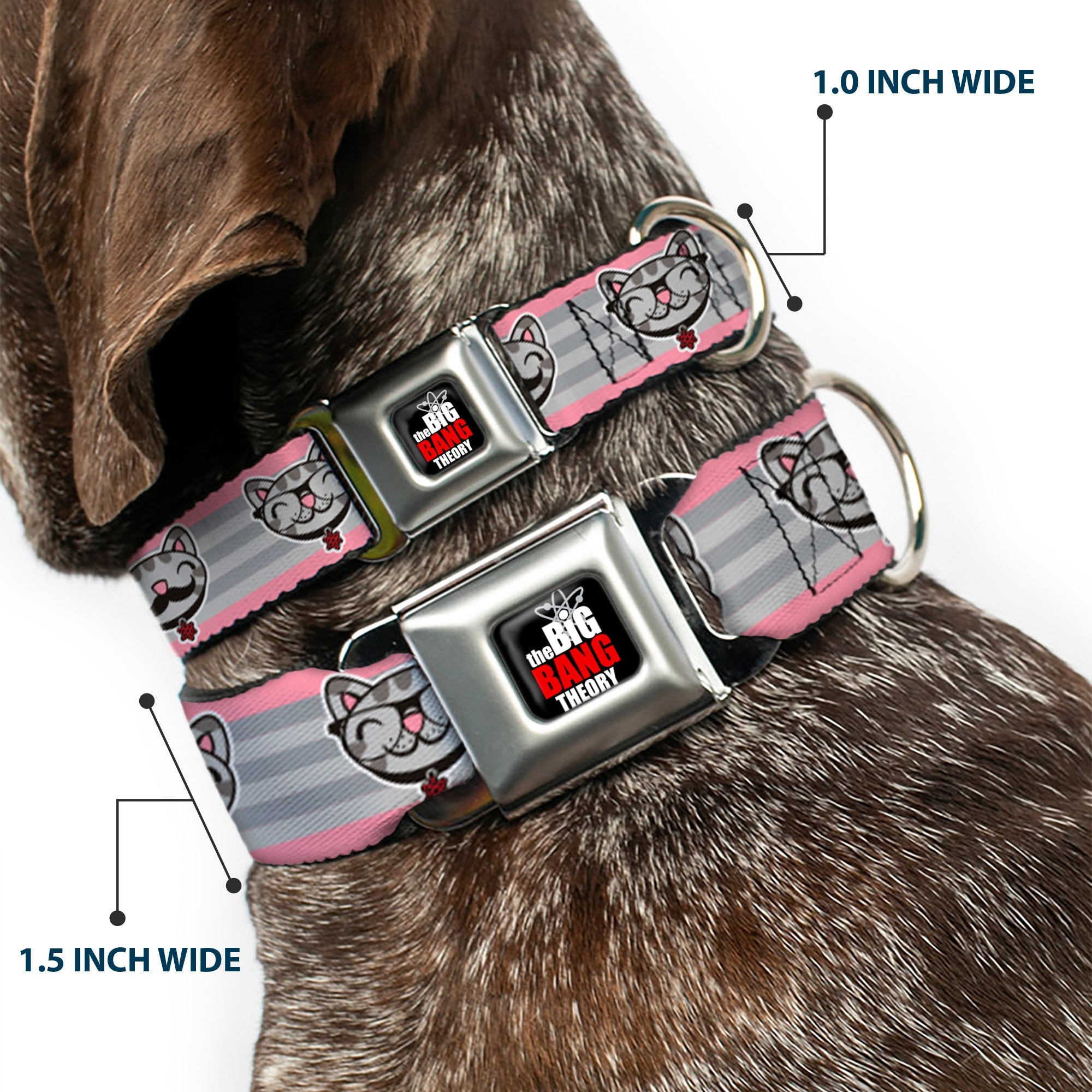 THE BIG BANG THEORY Full Color Black White Red Seatbelt Buckle Collar - Soft Kitty Nerd/Mustacho Expressions Stripe Grays