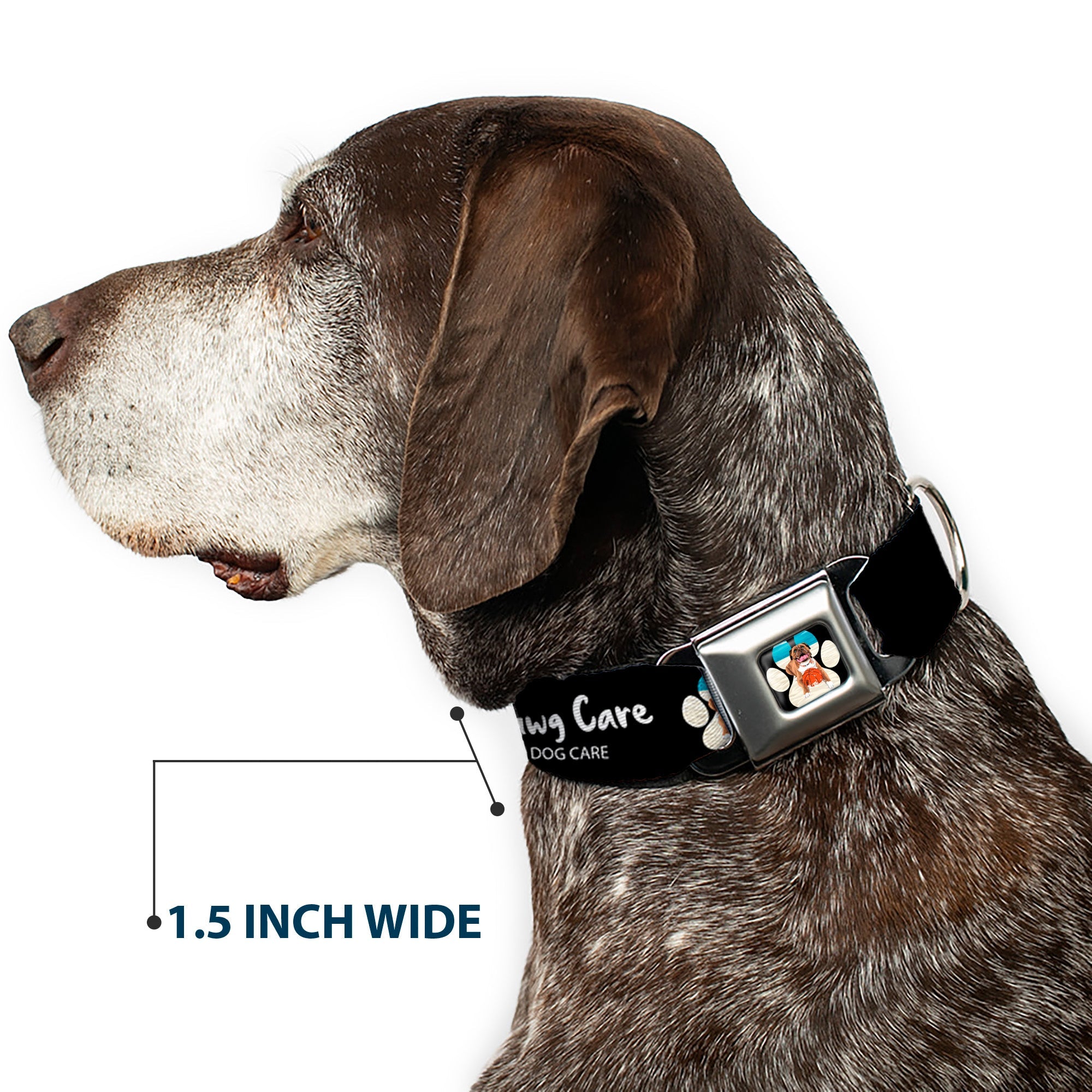Beach Dawg Care Paw Logo Full Color Black Seatbelt Buckle Collar - BEACH DAWG CARE ALL DOGS ARE EQUAL Black/White