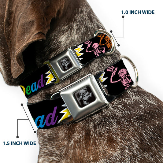 Dancing Bear Black/Silver Seatbelt Buckle Collar - Grateful Dead Script w/Bears & Skeletons Black/Multi Color