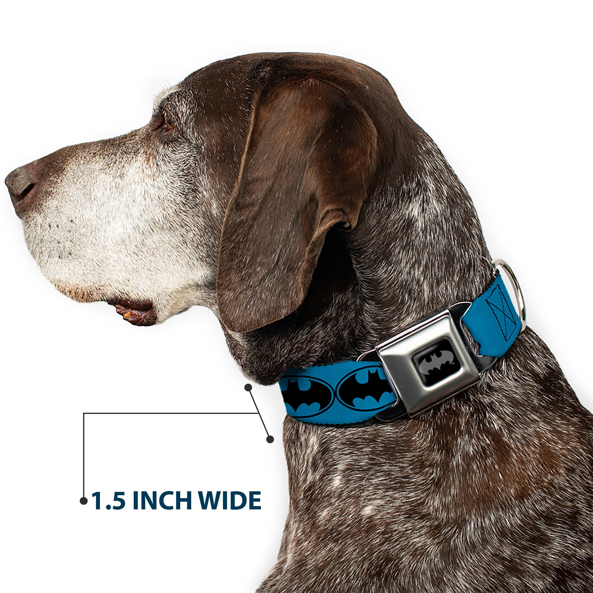 Batman Black Silver Seatbelt Buckle Collar - Bat Signal-3 Blue/Black/Blue
