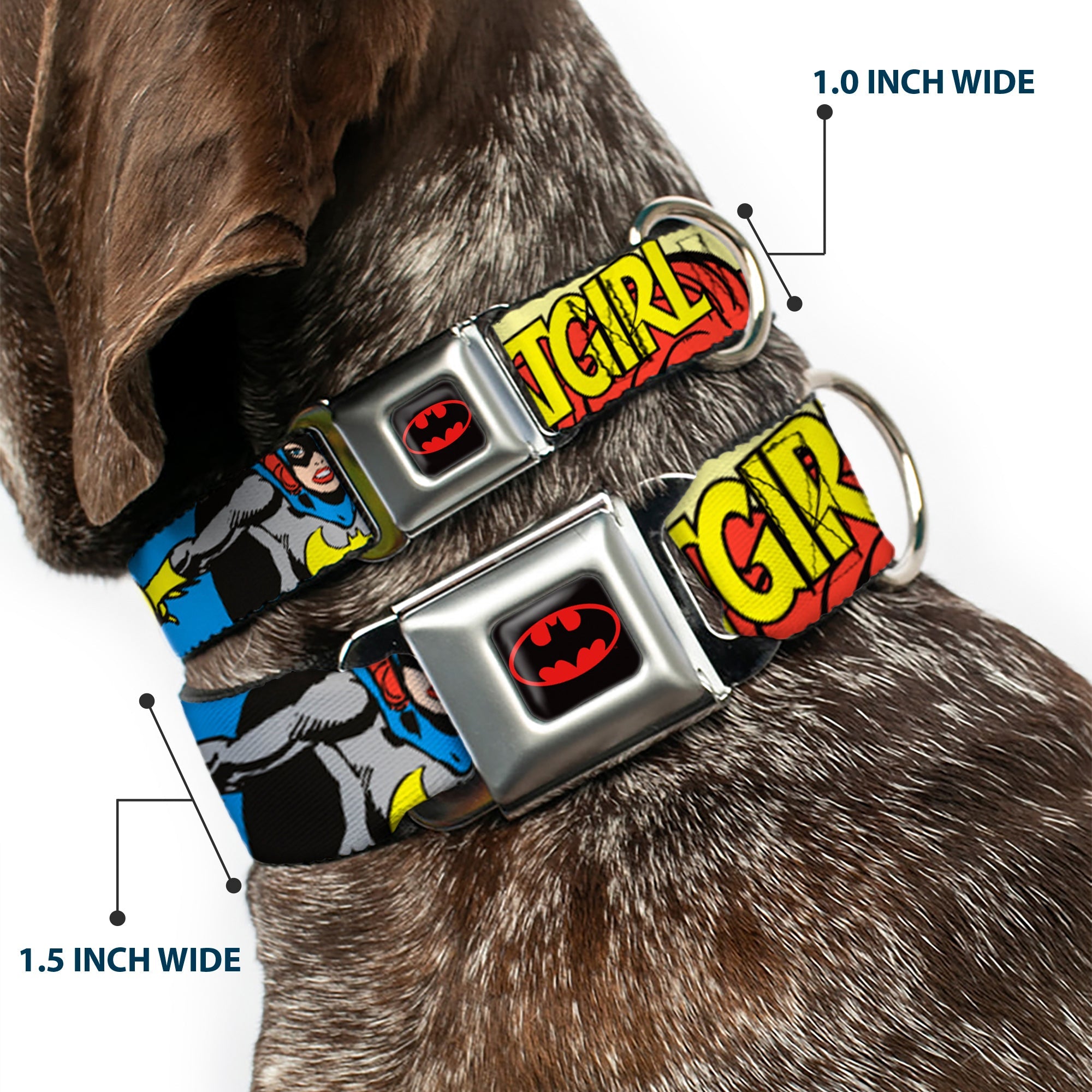 Batman Full Color Black Yellow Seatbelt Buckle Collar - BATGIRL in Action w/Face CLOSE-UP