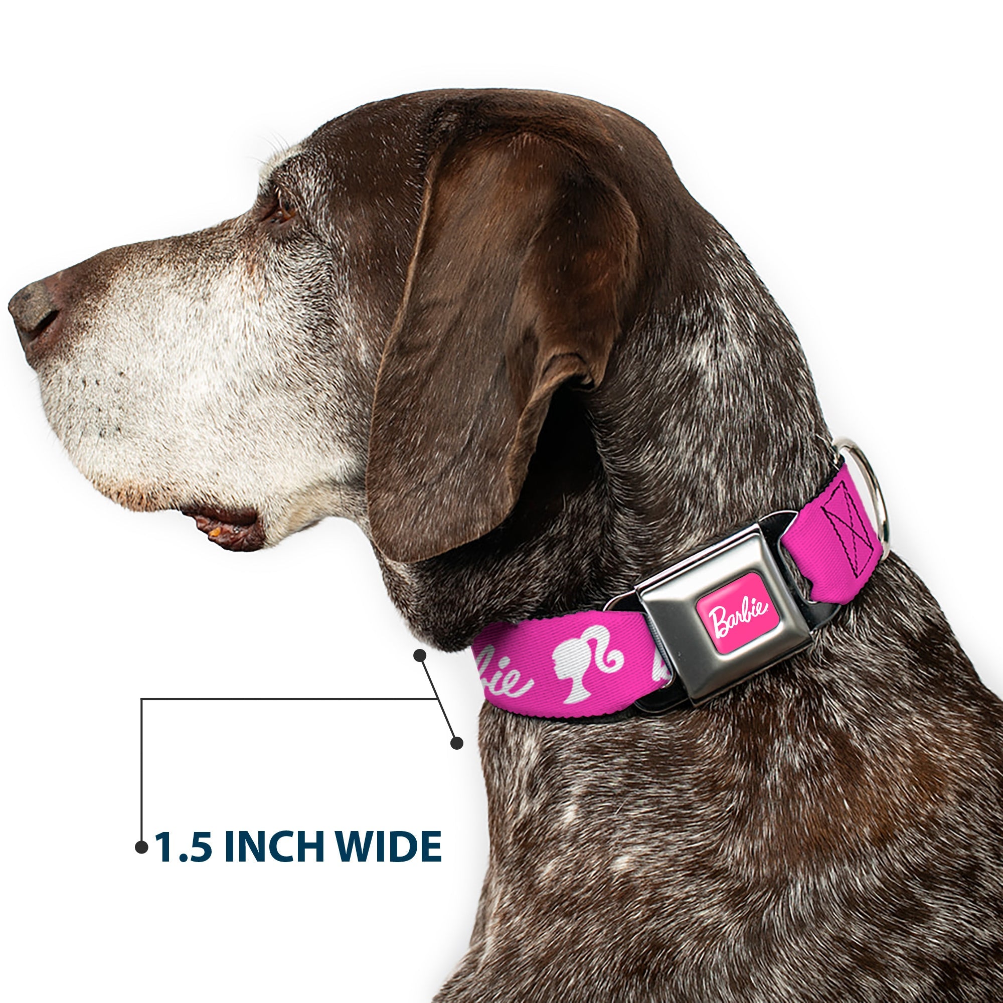 BARBIE Script Signature Full Color Hot Pink/White Seatbelt Buckle Collar - BARBIE Script Signature Logo and Silhouette Hot Pink/White